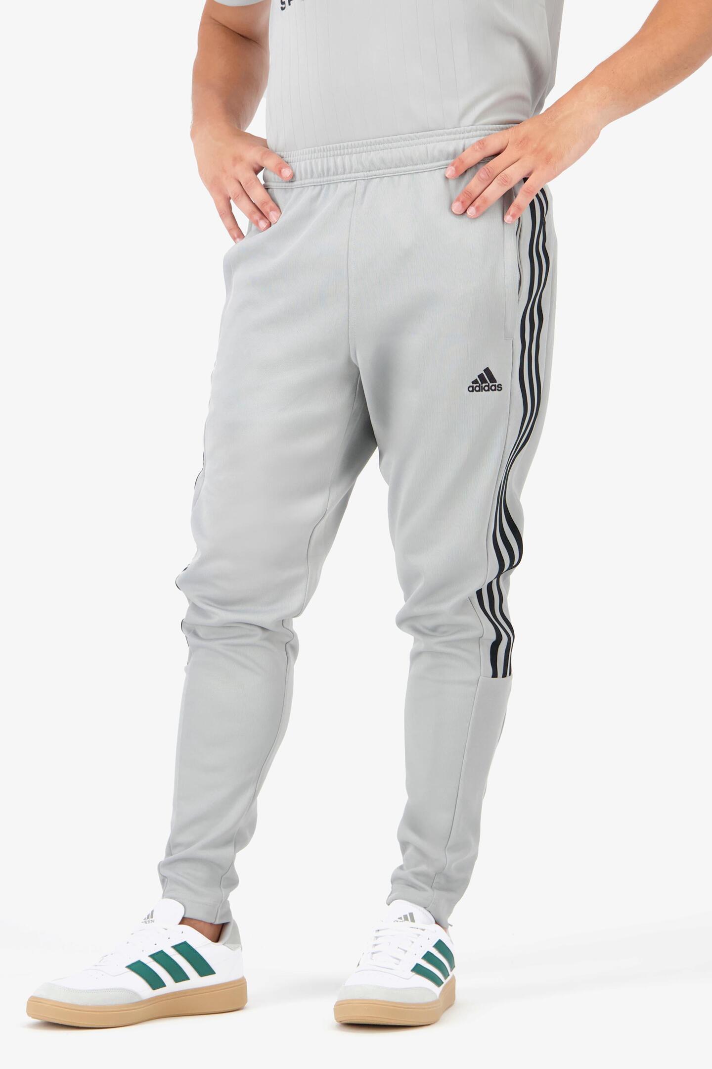 Adidas Originals Pantalon Adidas Gris Hombre Pants Adidas Gris