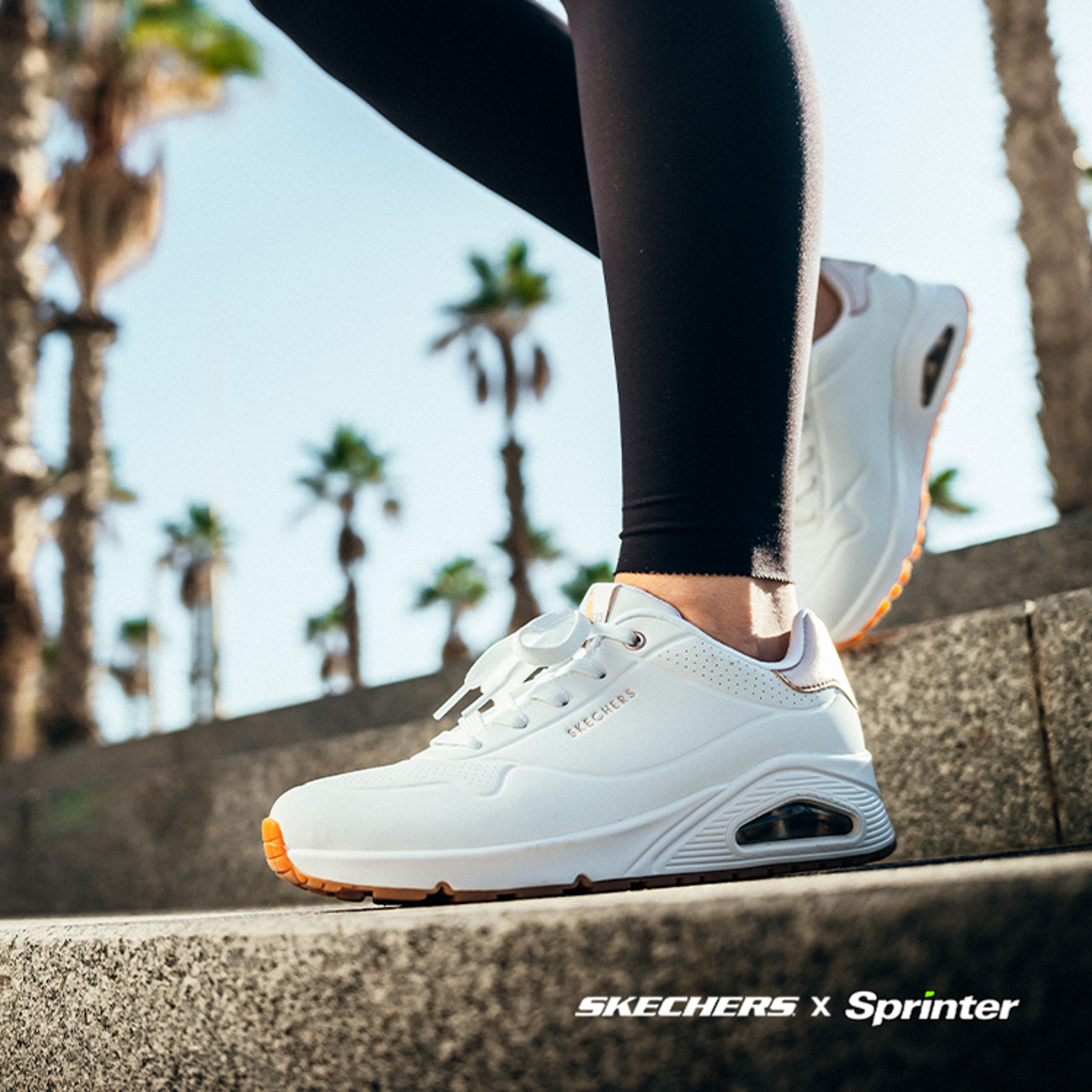 Skechers collection
