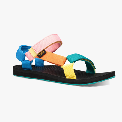 Tienda de ropa, zapatillas de deporte y musculación