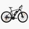 Bicicletas Elétricas