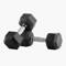 Halteres Hexagonais Bodytone