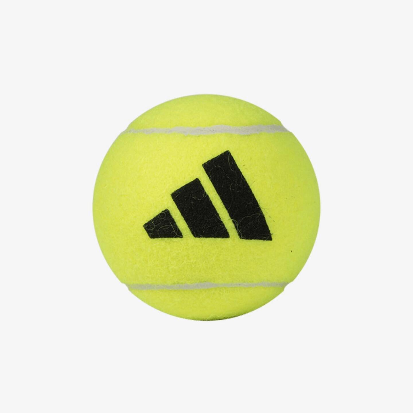 adidas Speed Rx - amarillo - Bote 3 Pelotas Pádel