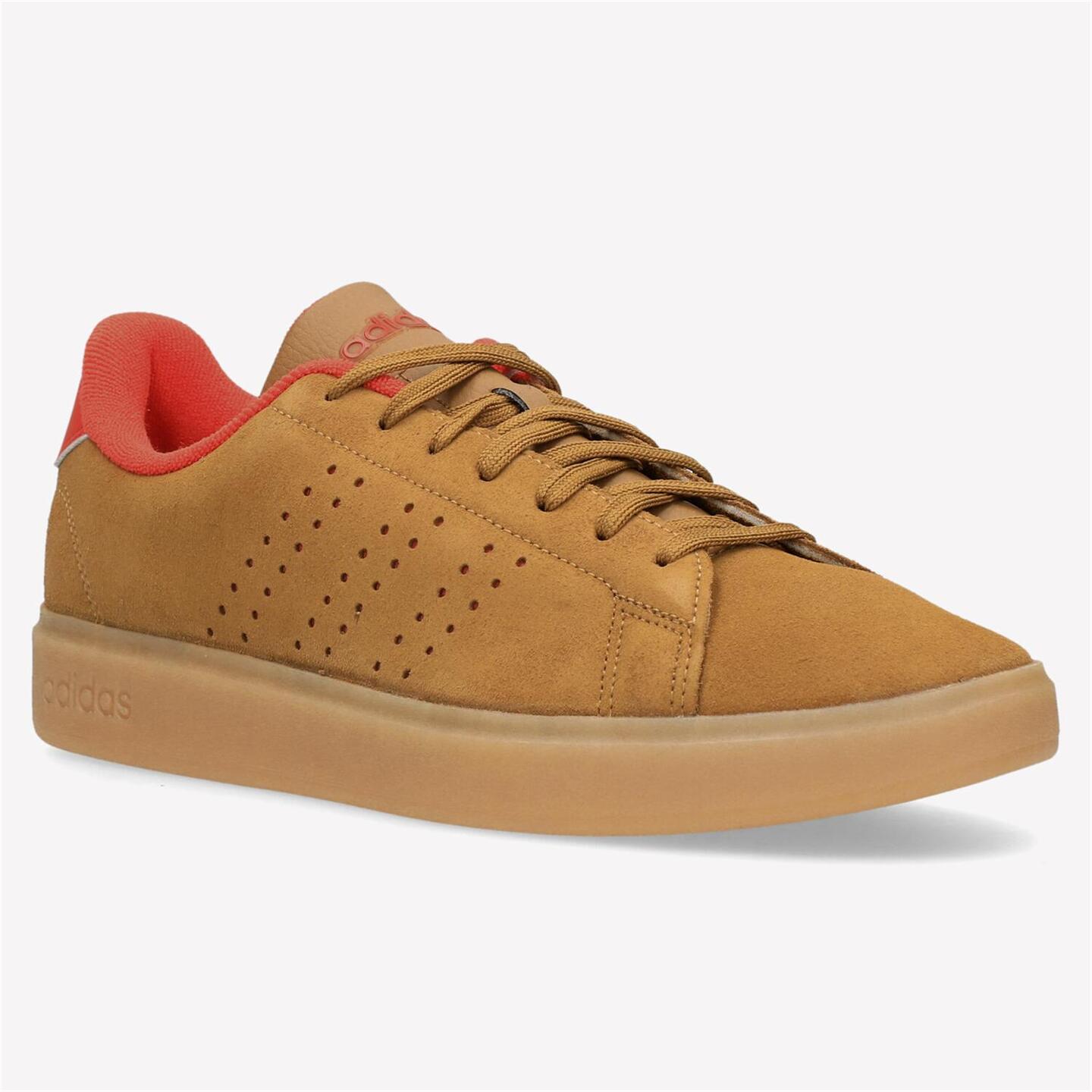 adidas Advantage 2.0 - marron - Sapatilhas Homem