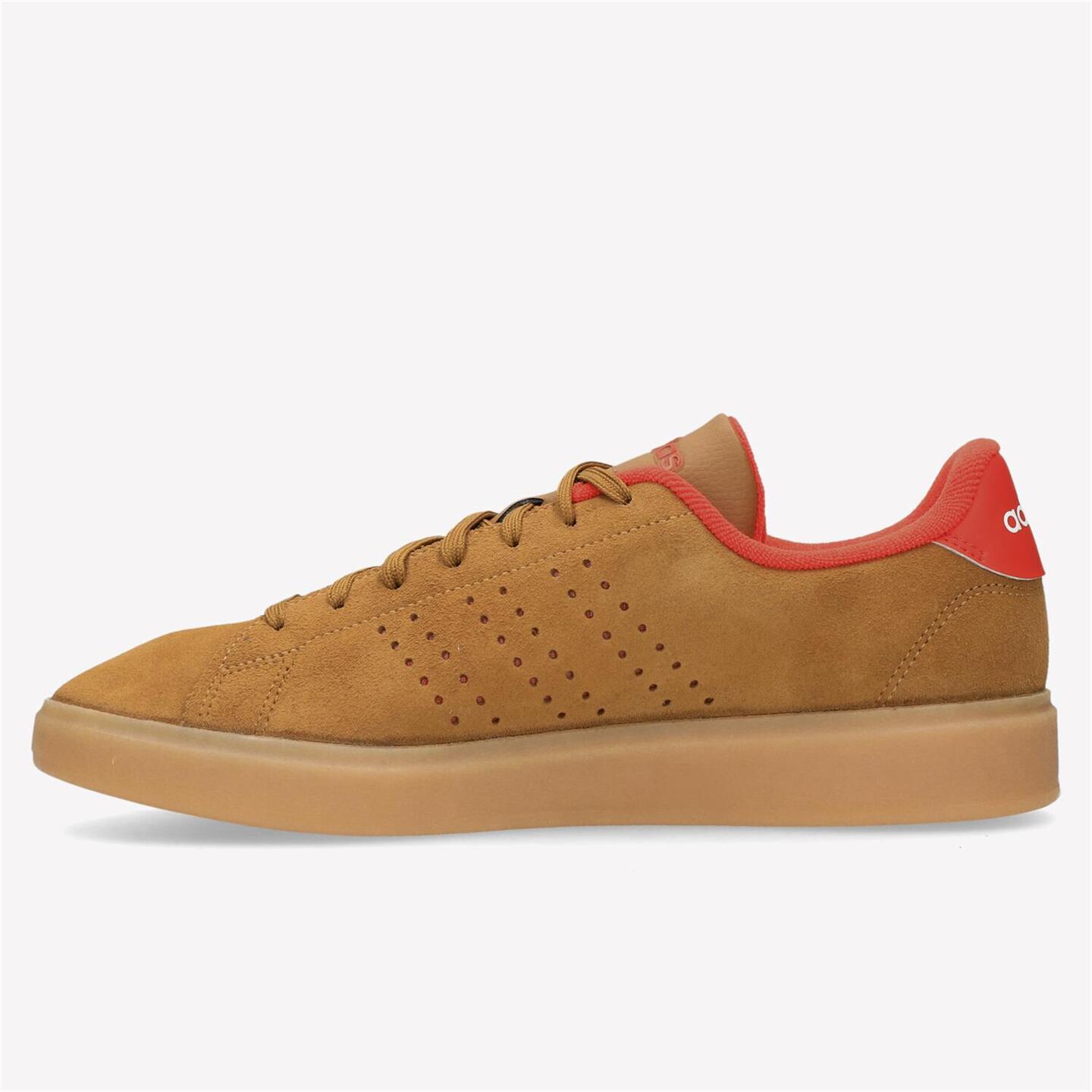 adidas Advantage 2.0 - marron - Sapatilhas Homem