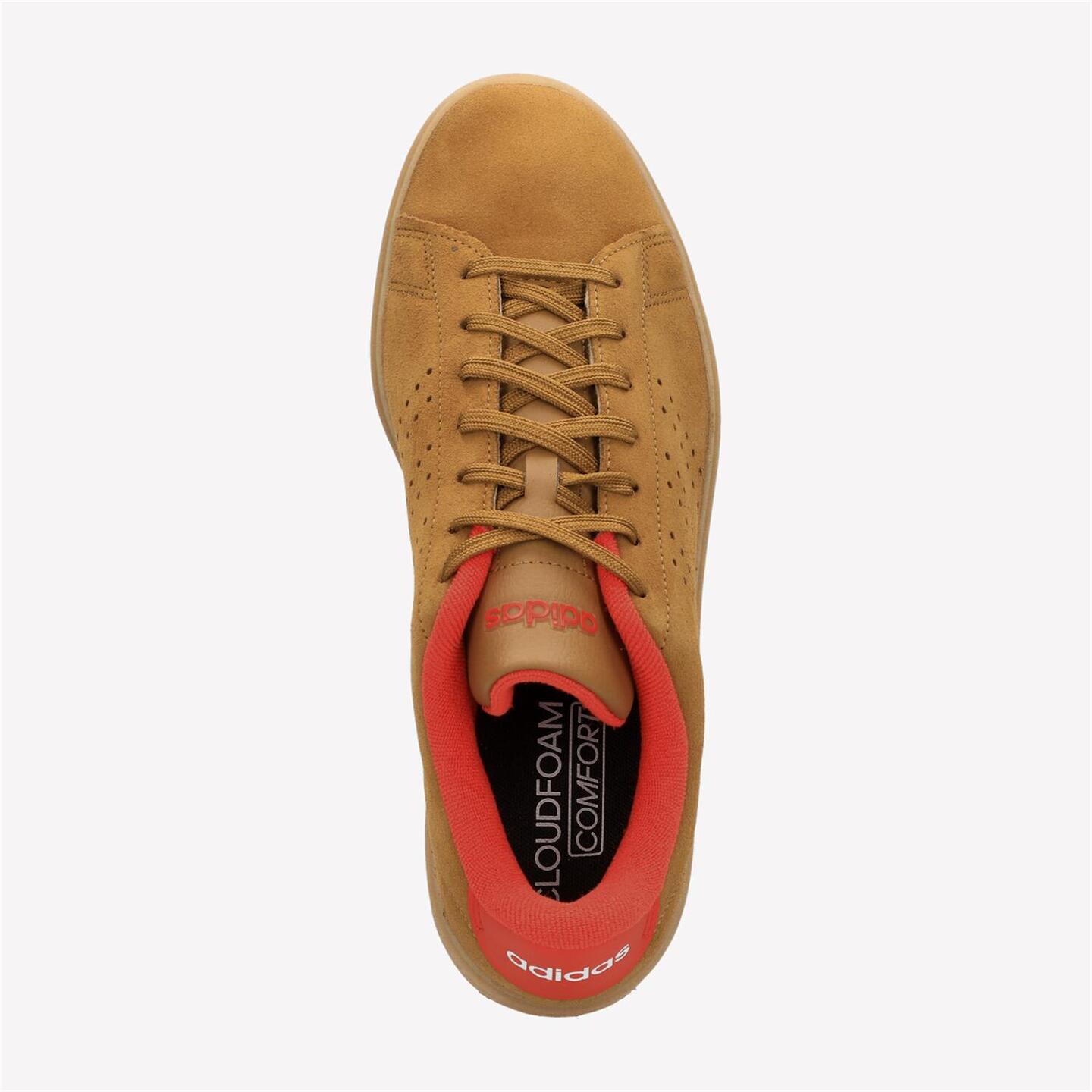 Adidas advantage marron store