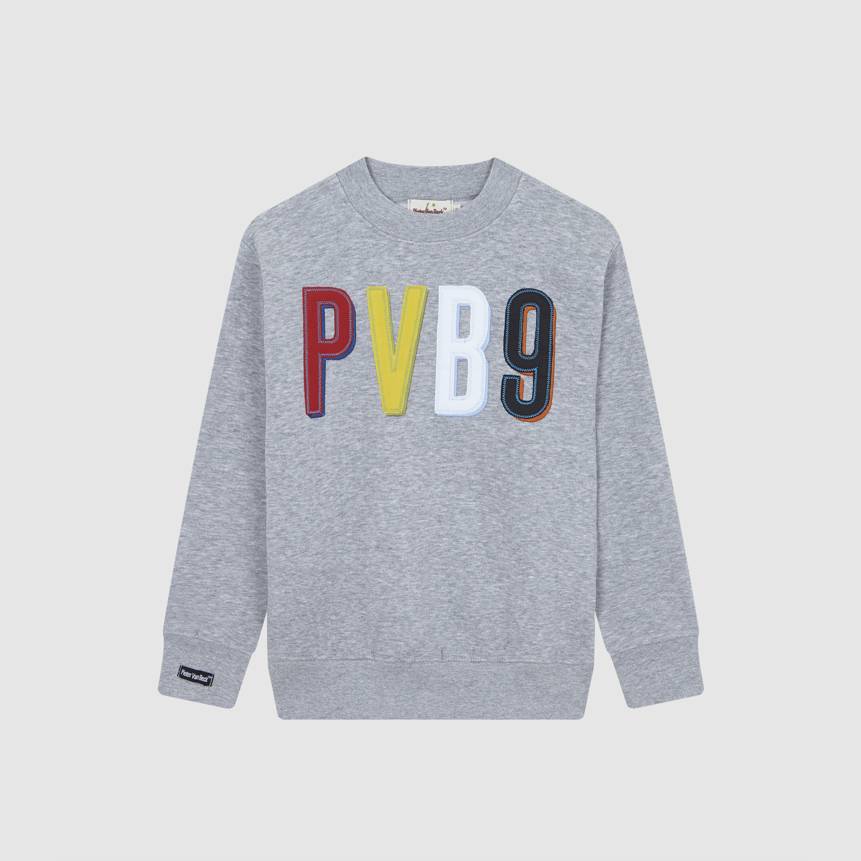 Sudadera Pieter Van Beck Stadium Jr Grey