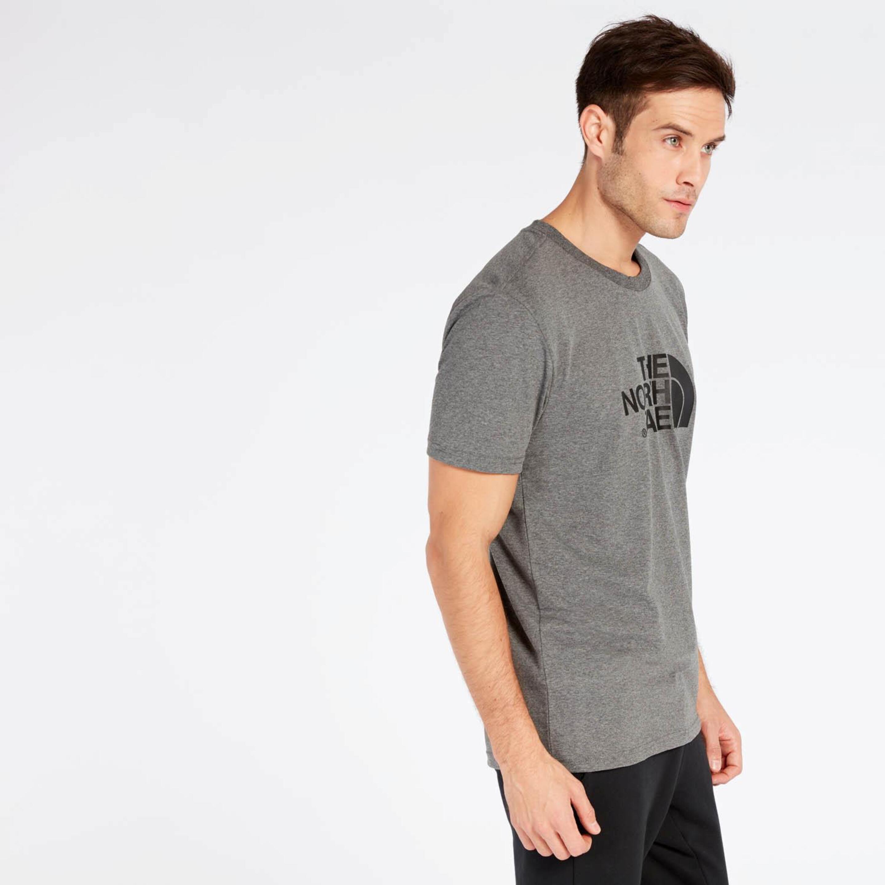 Camiseta The North Face Gris