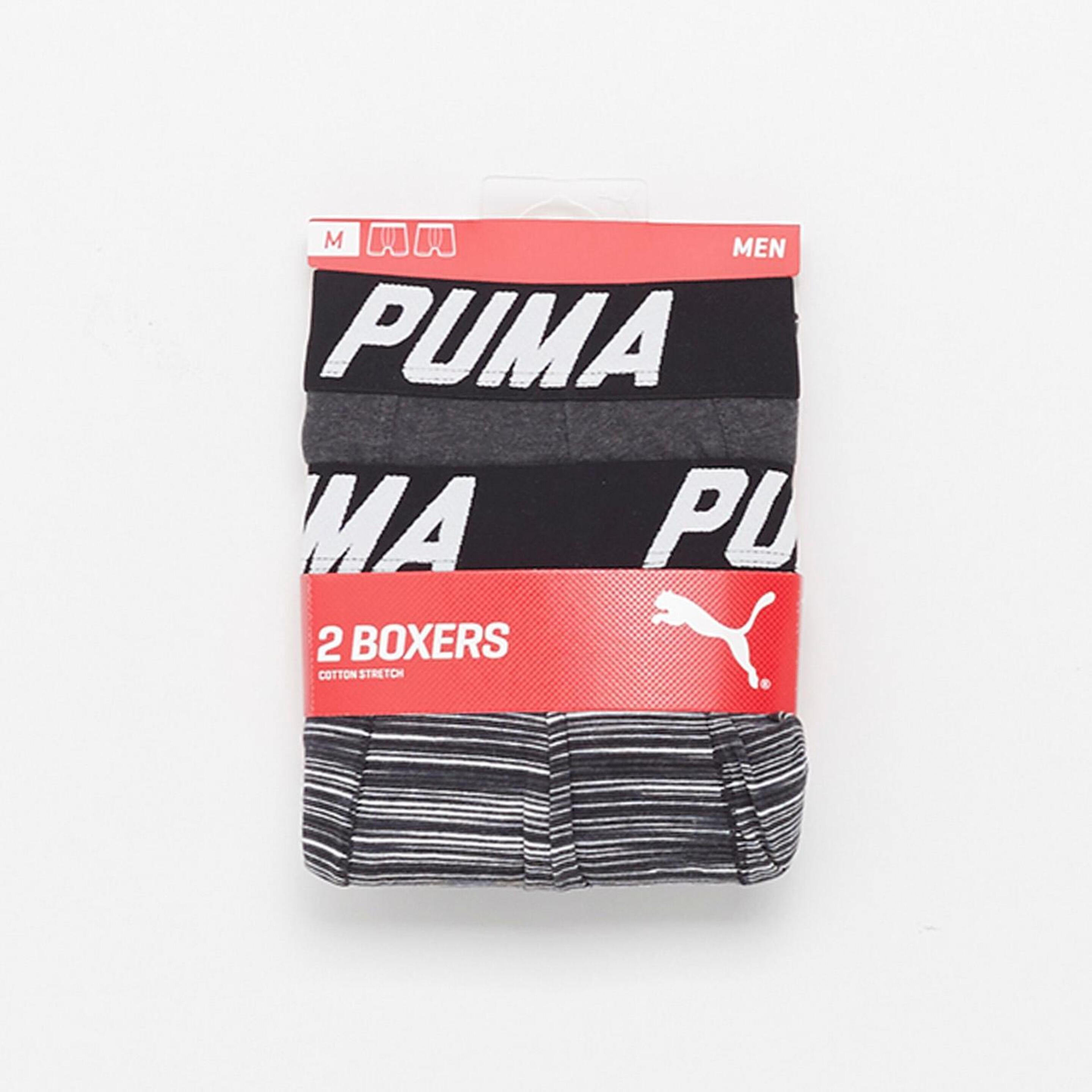 Boxer Puma