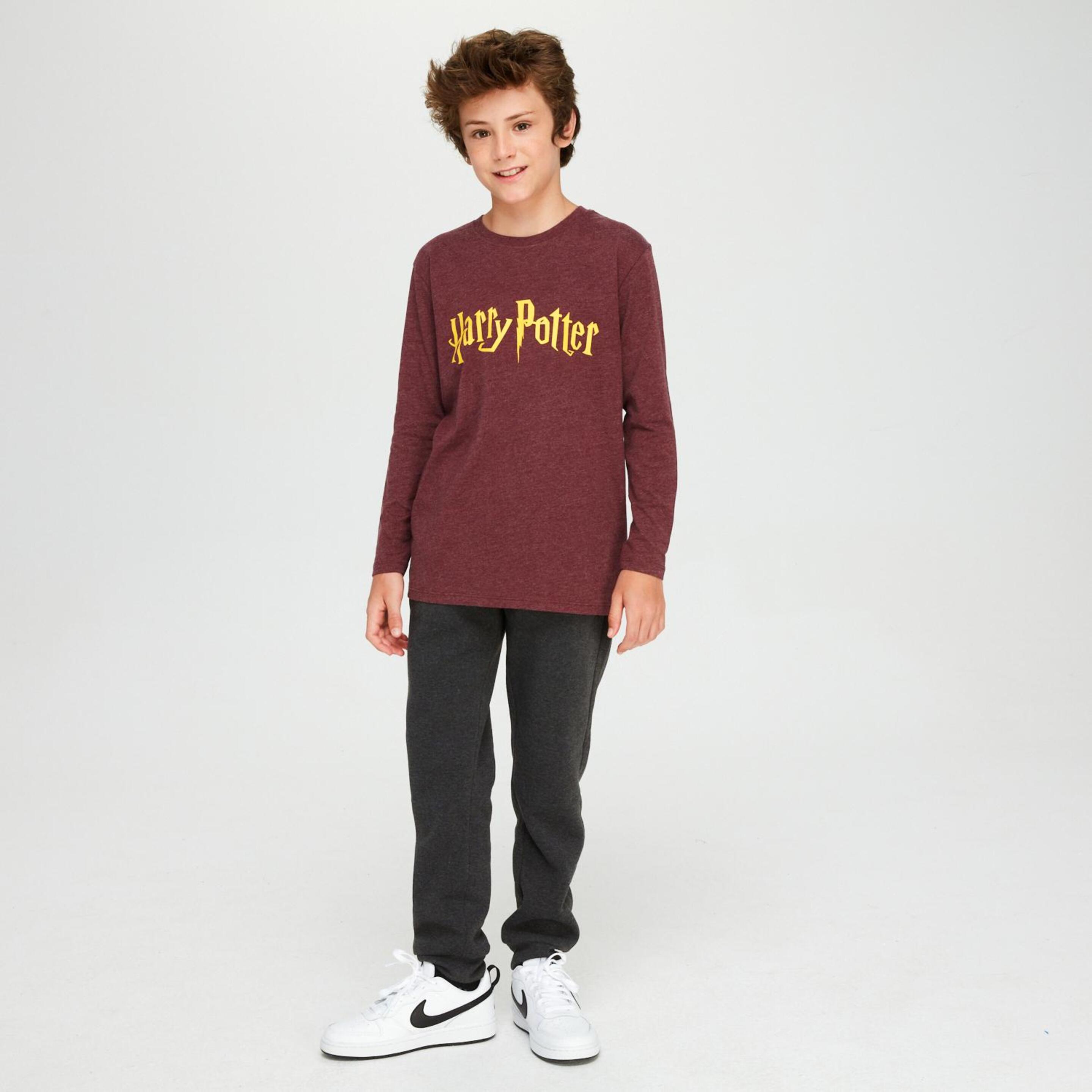 Camiseta Harry Potter