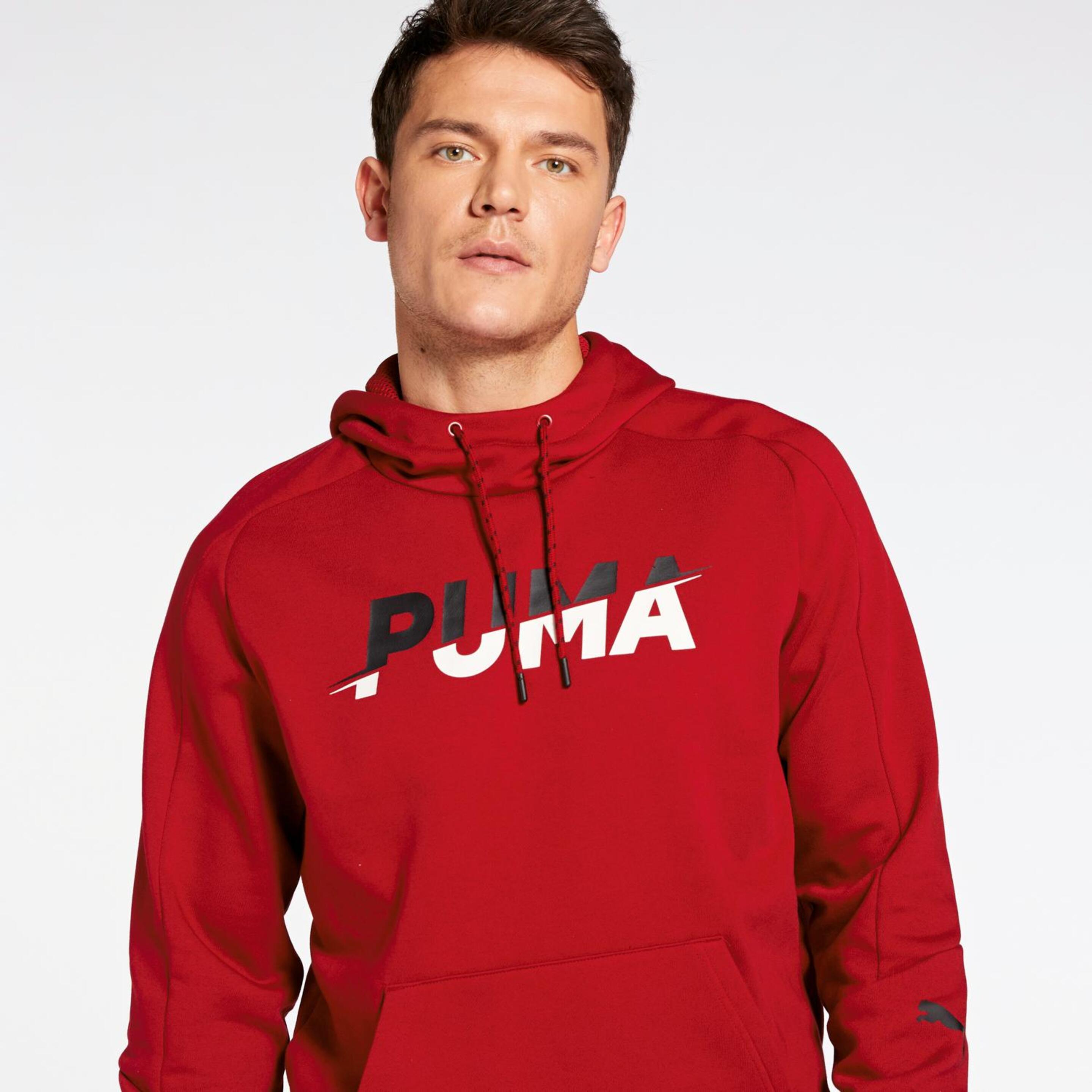 Puma Modern