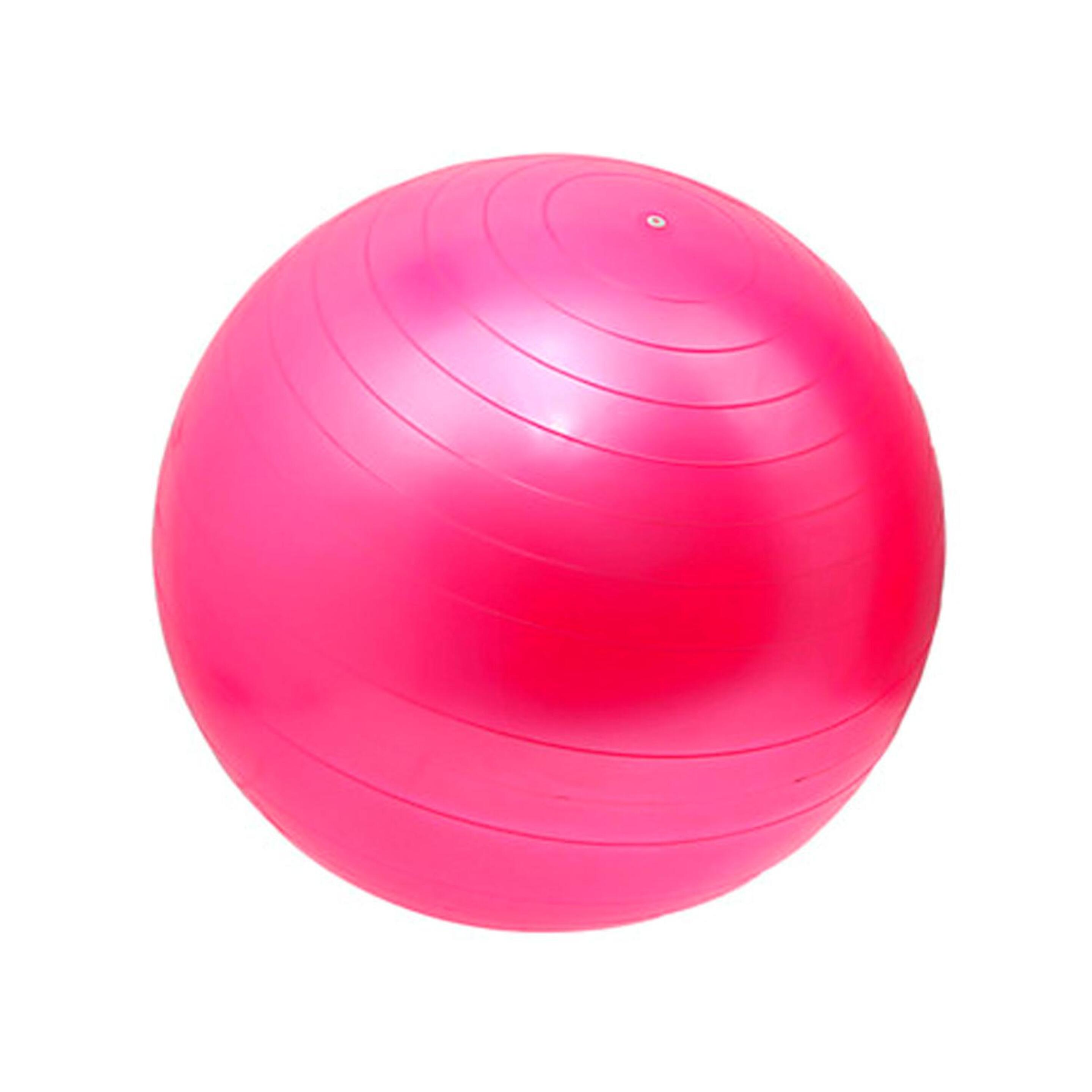 Fitball 55cm Get Strong