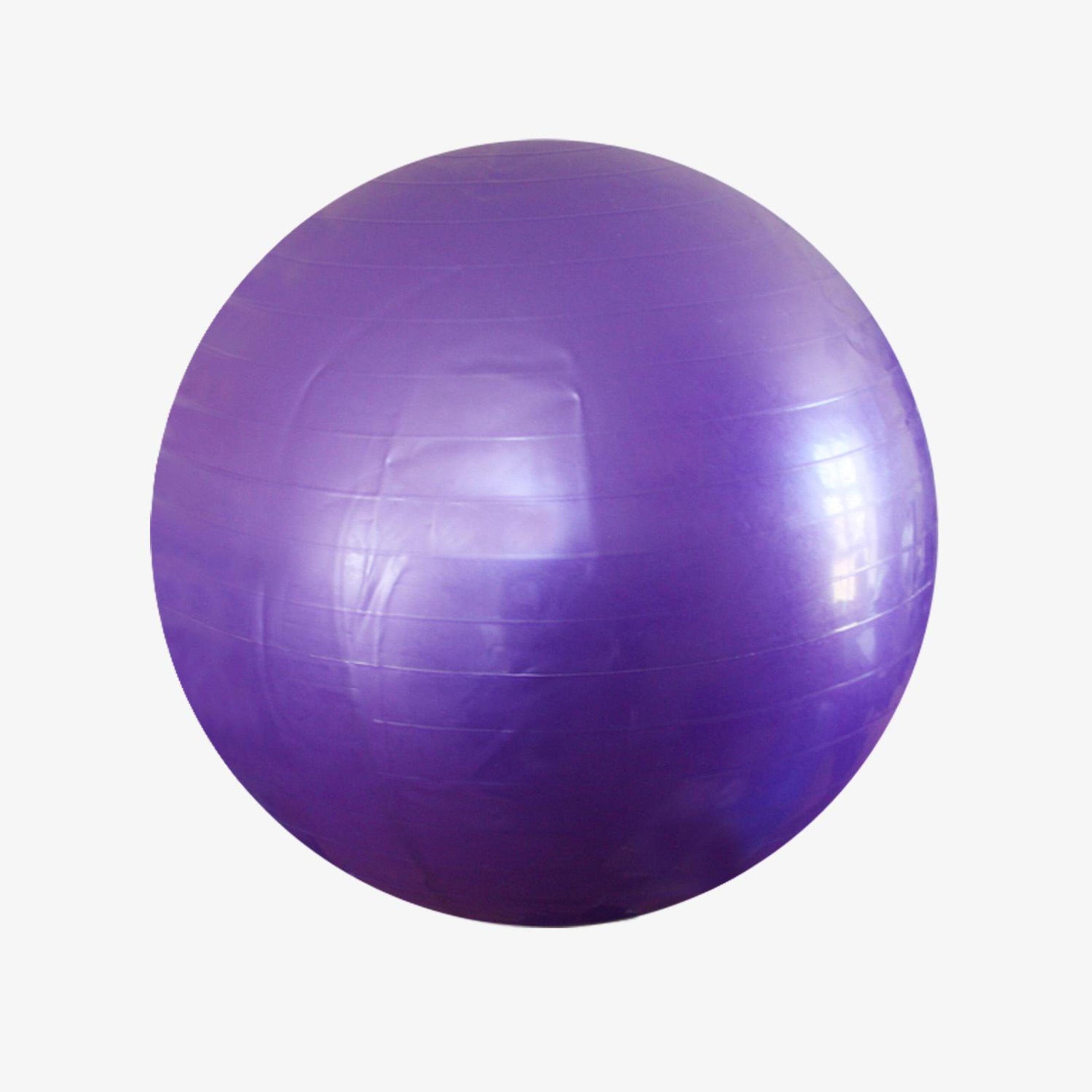 Balón Fitness 65 Cm Softee