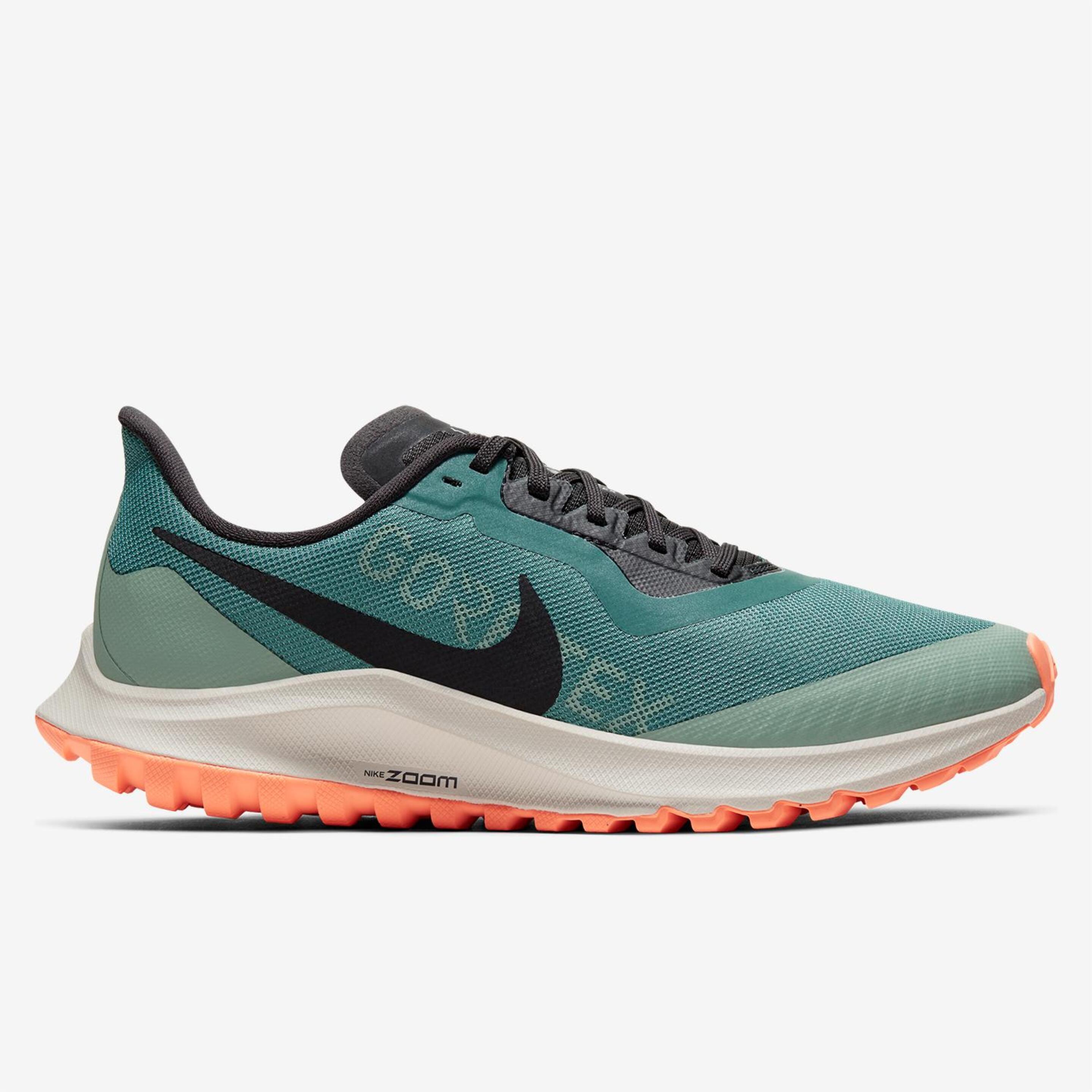 Zoom Pegasus 36 Gtx Nike