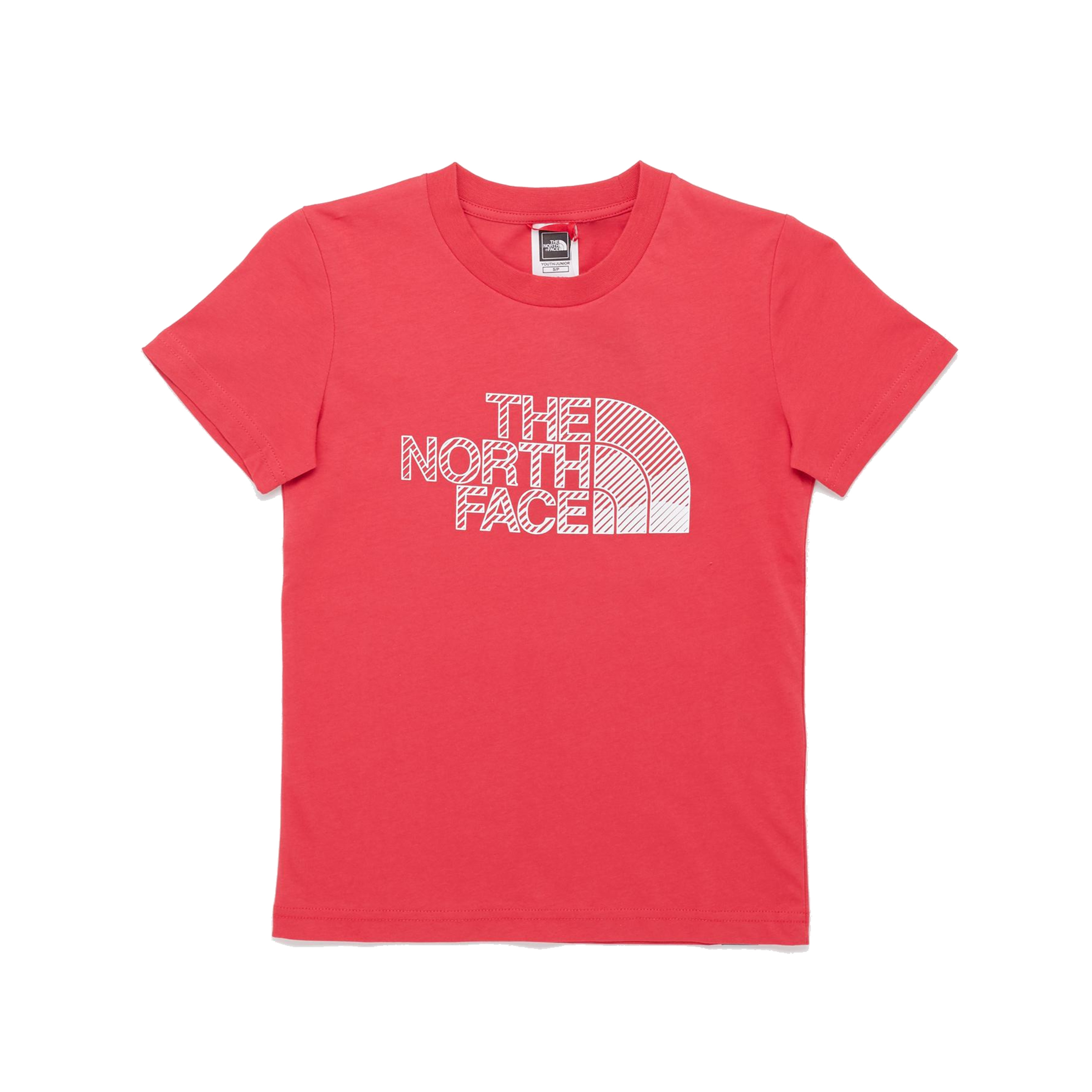 The North Face Biner Graphic 1