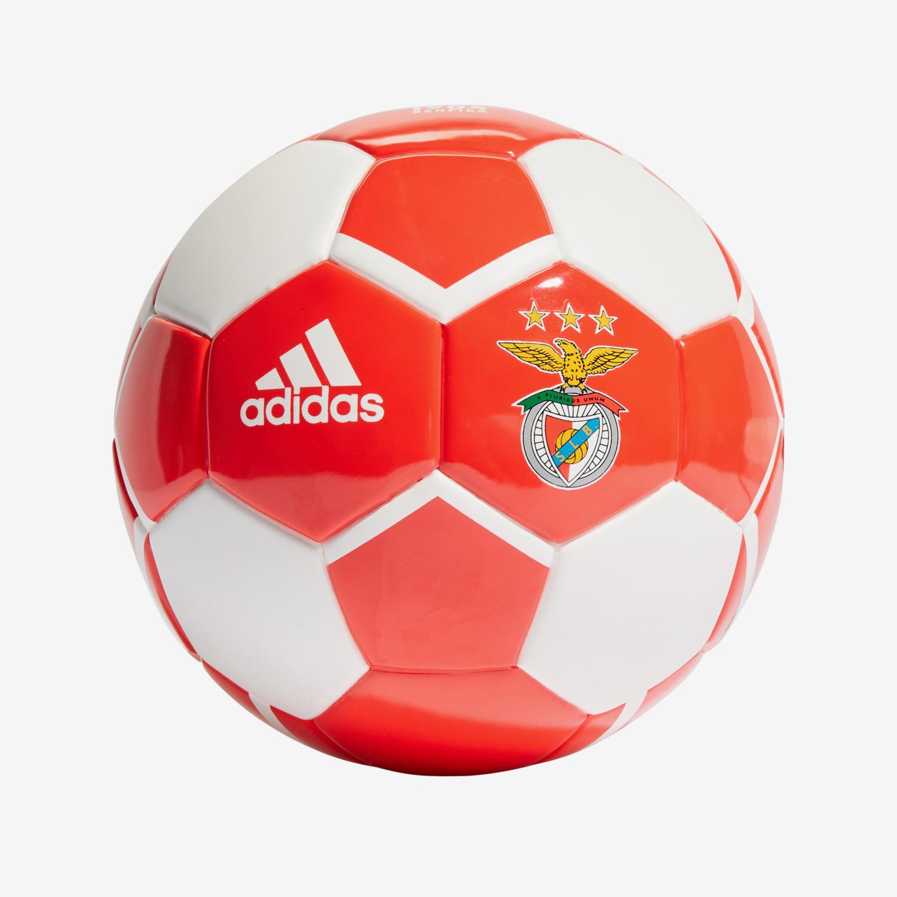 Benfica Minibalon Futbol 21/22