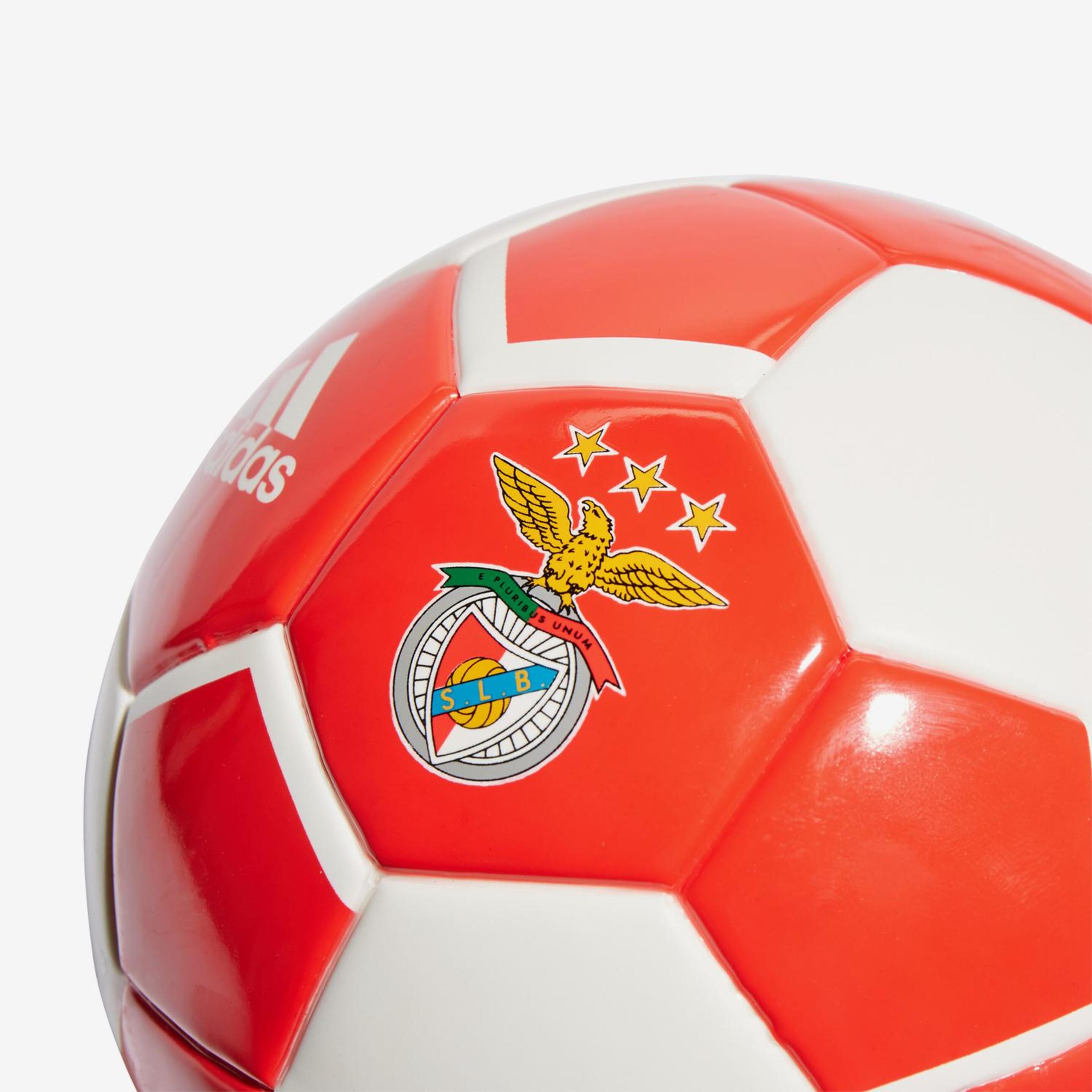 Benfica Minibalon Futbol 21/22