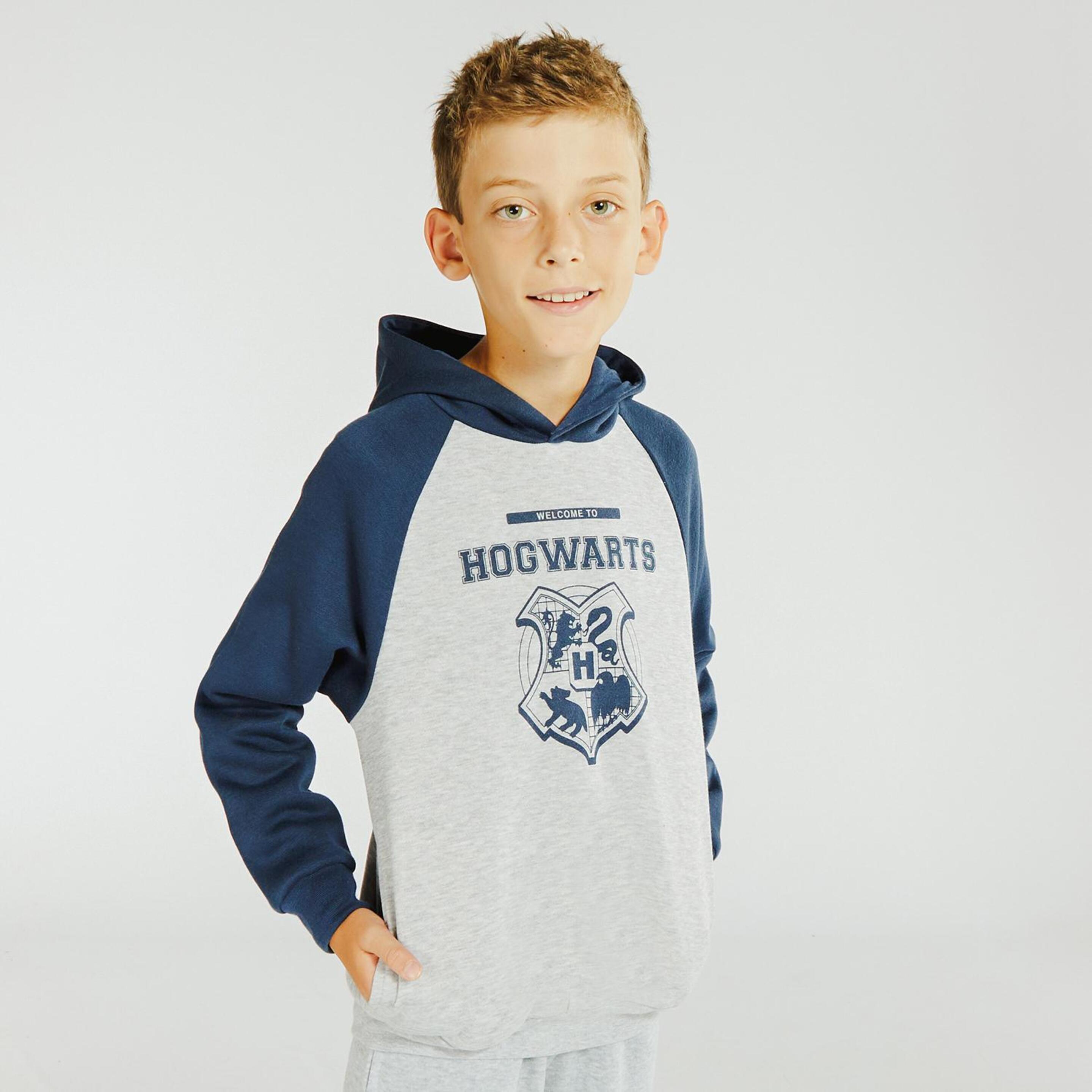 Sudadera Harry Potter