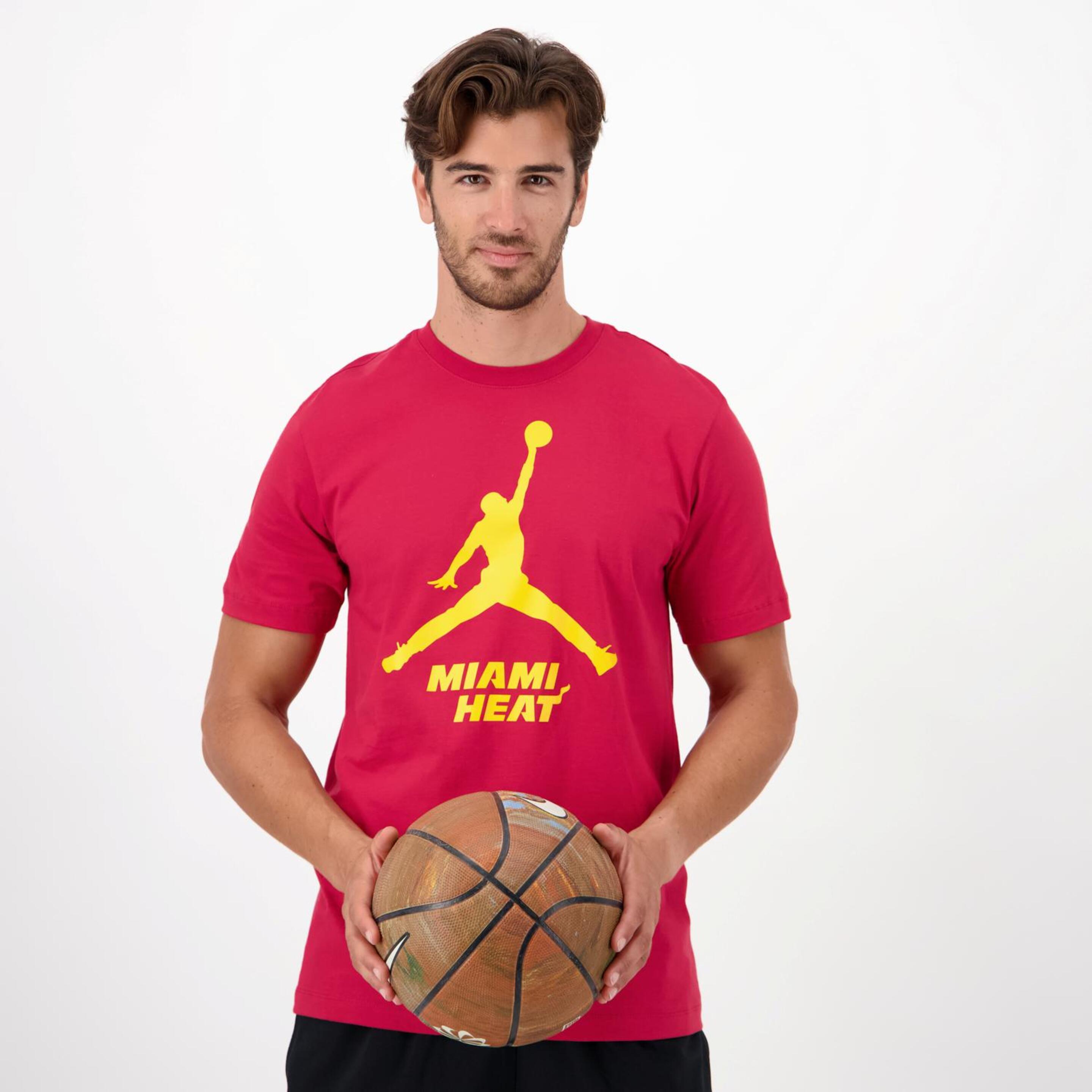 Nike Air Jordan Miami Heat
