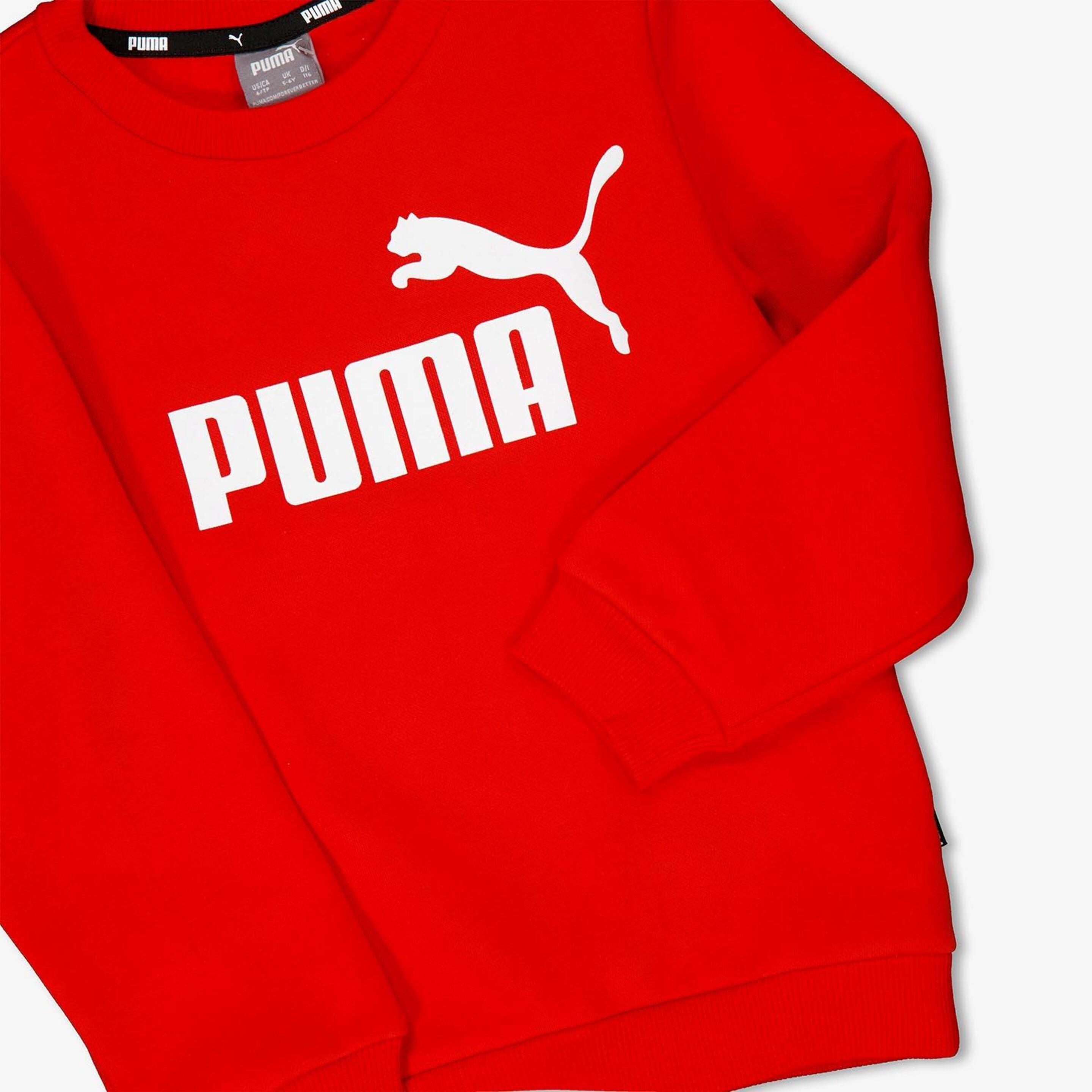 Puma Puma