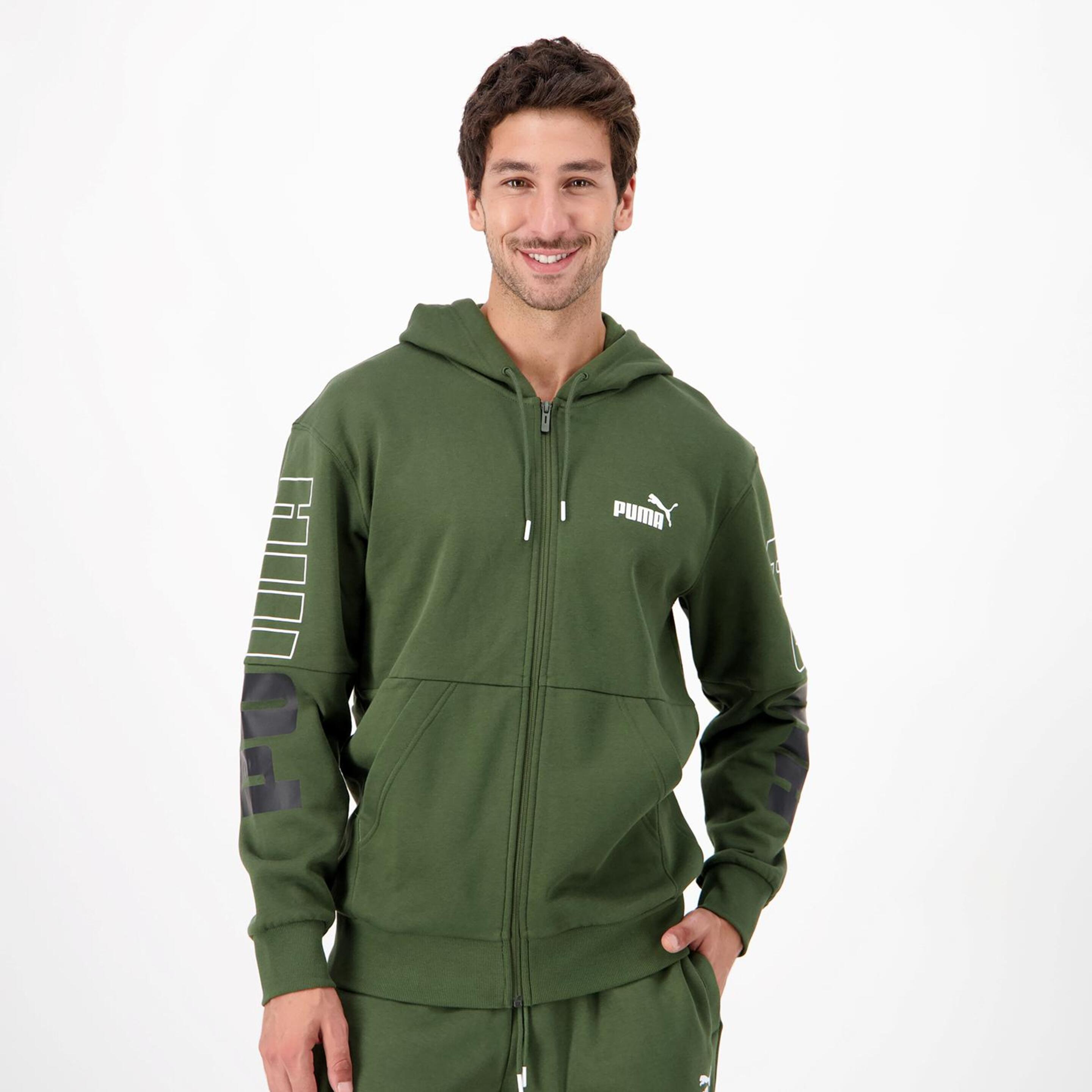 Puma Power