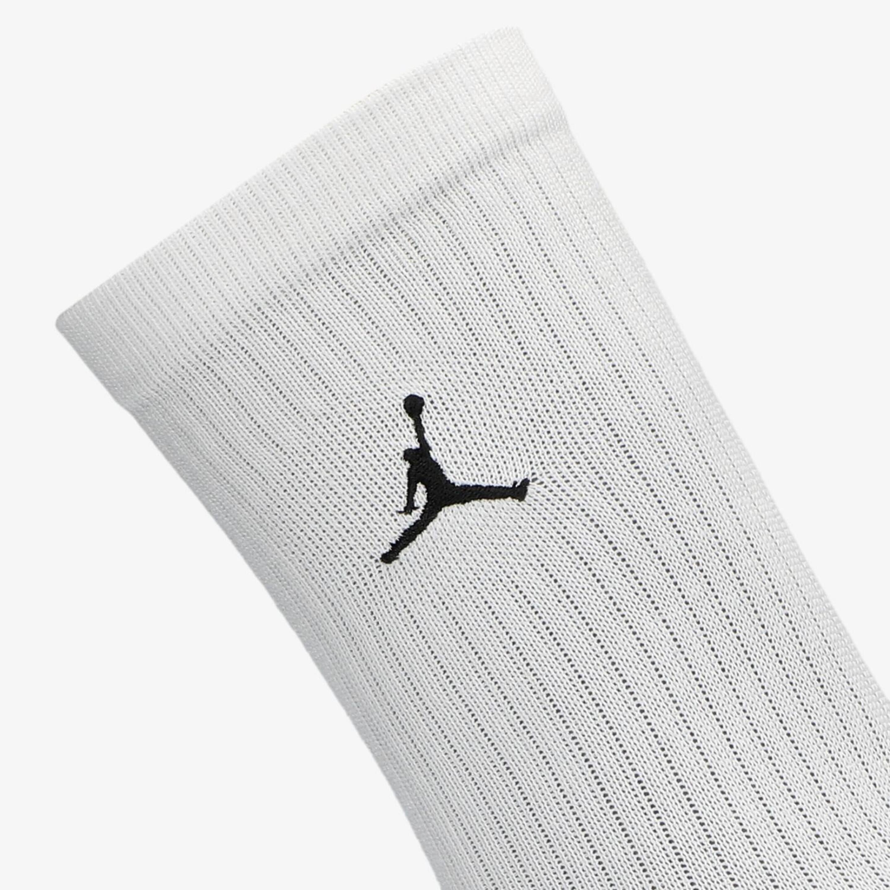 Nike Jordan Everyday