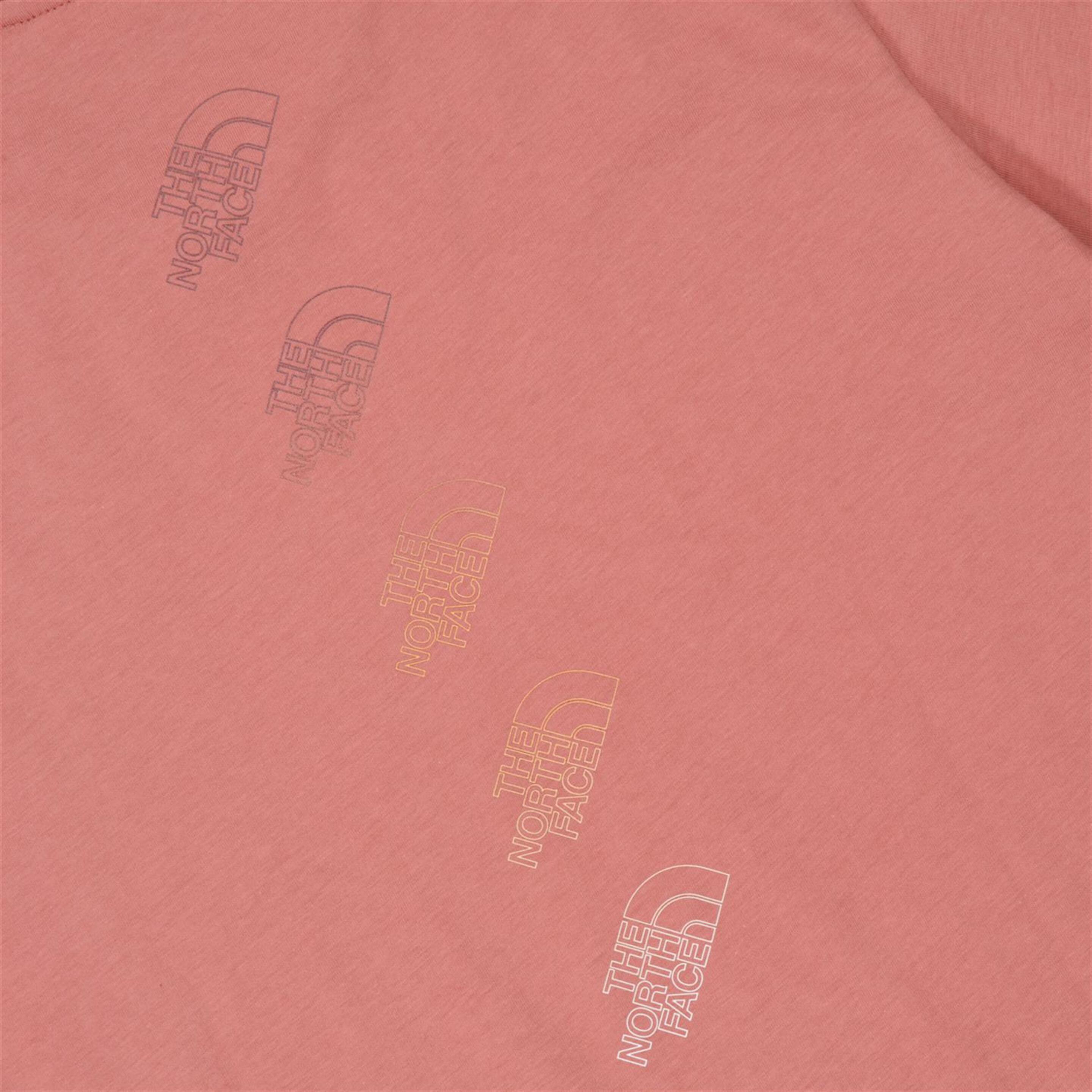 The North Face Relaxed Graphic 2