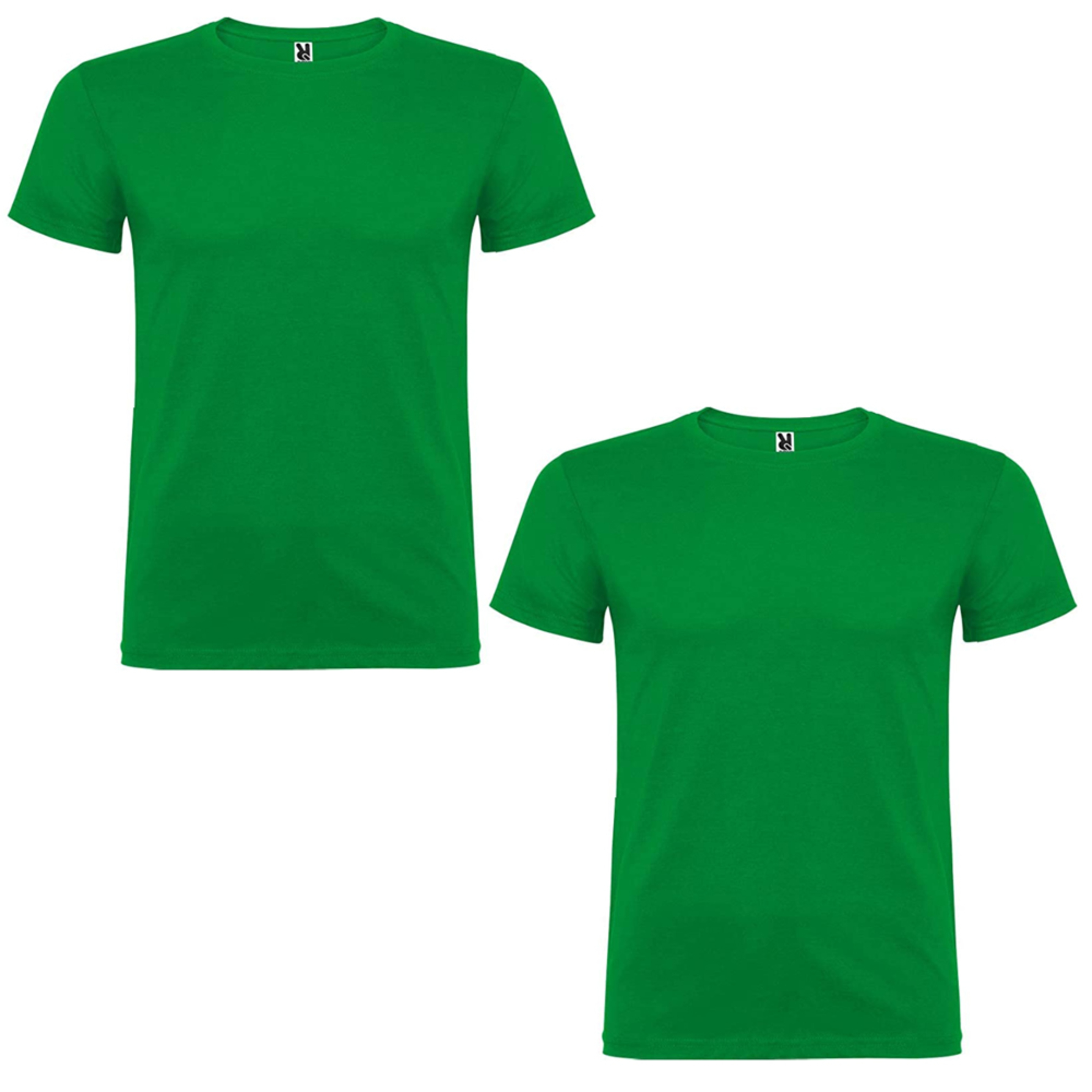 2 T-shirts Manga Curta Roly Verde