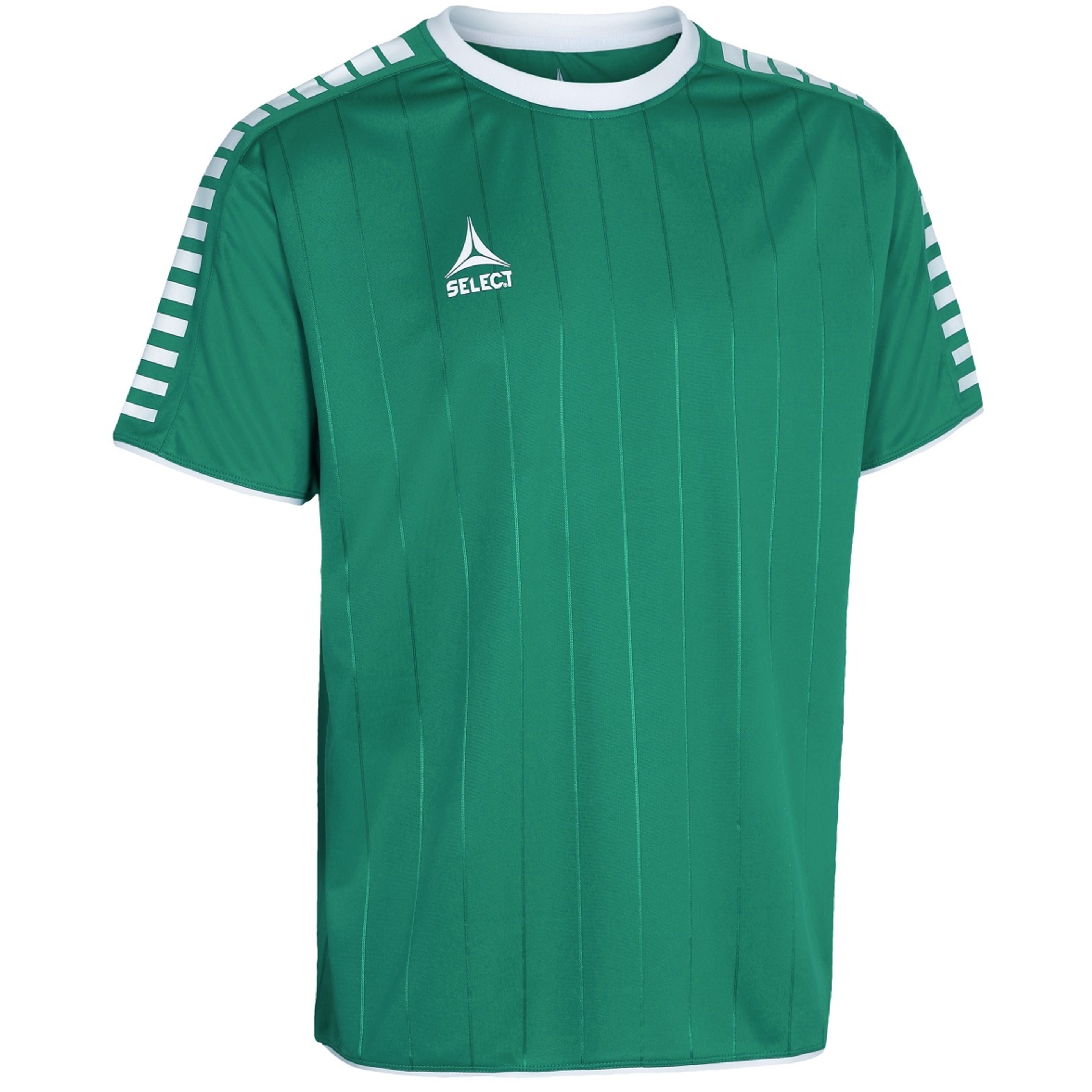 Camisola Select Argentina - verde - 