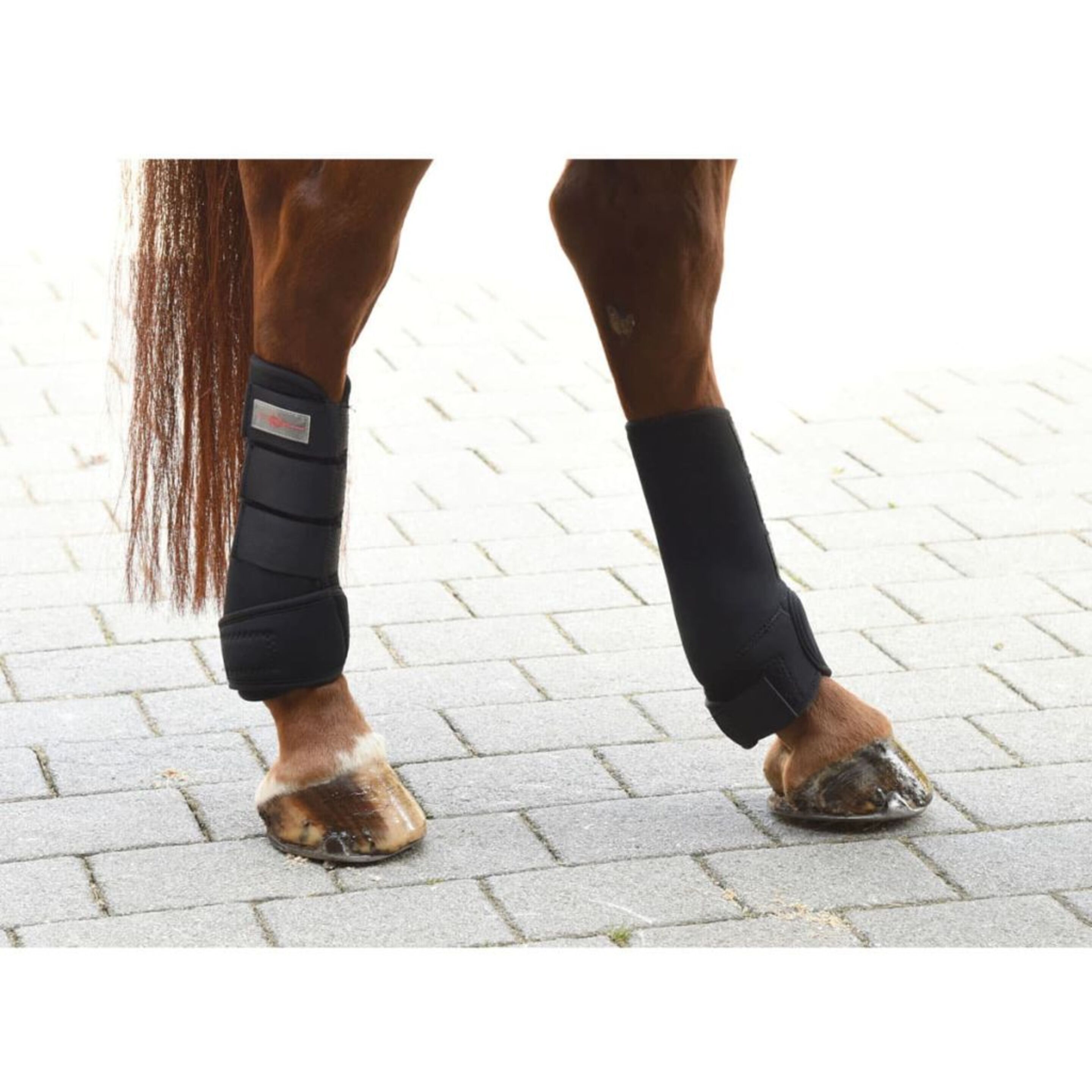 Kerbl Protectores De Patas Para Caballo Cob 4 Unidades 320132