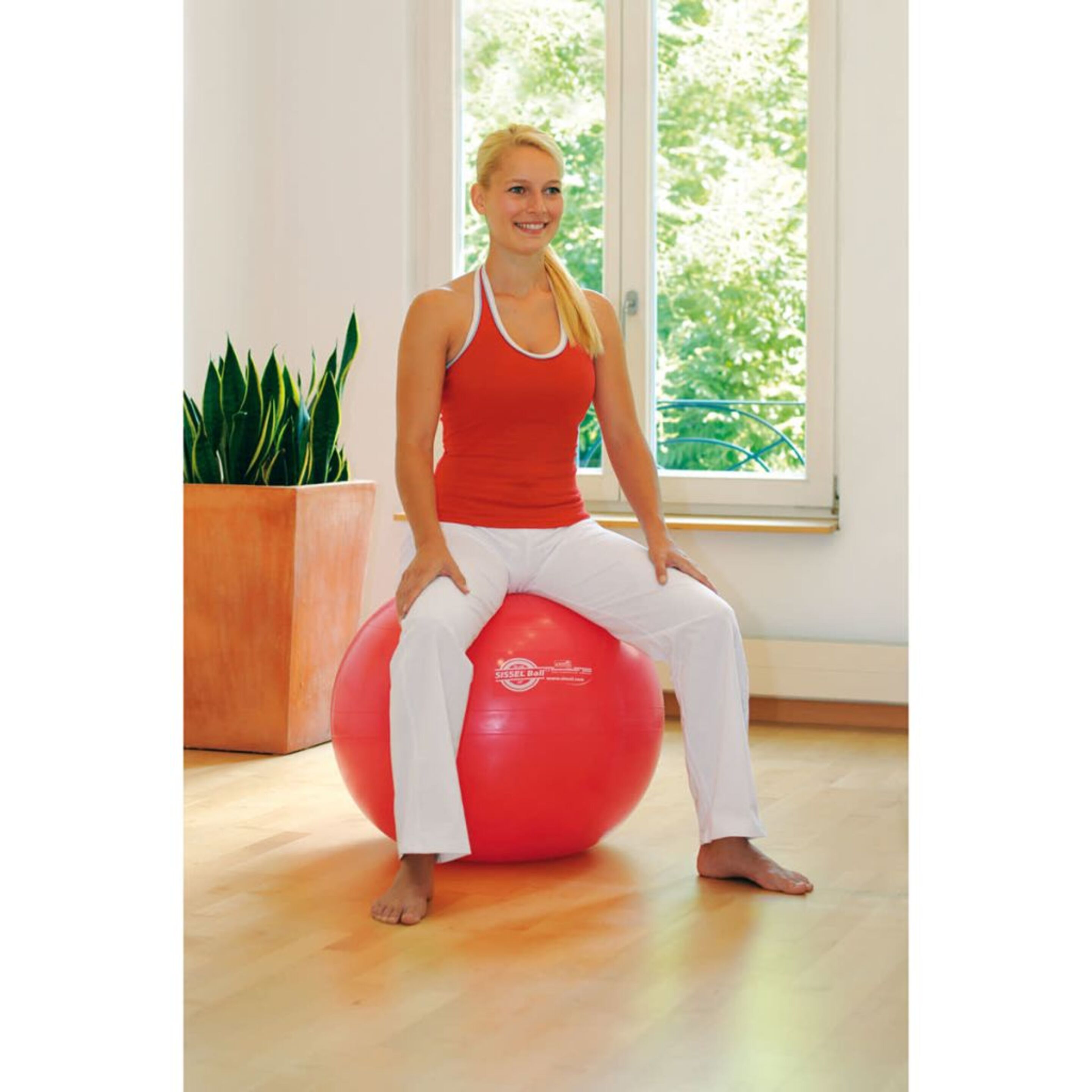 Sissel Pelota De Ejercicio 65 Cm Roja Sis-160.062