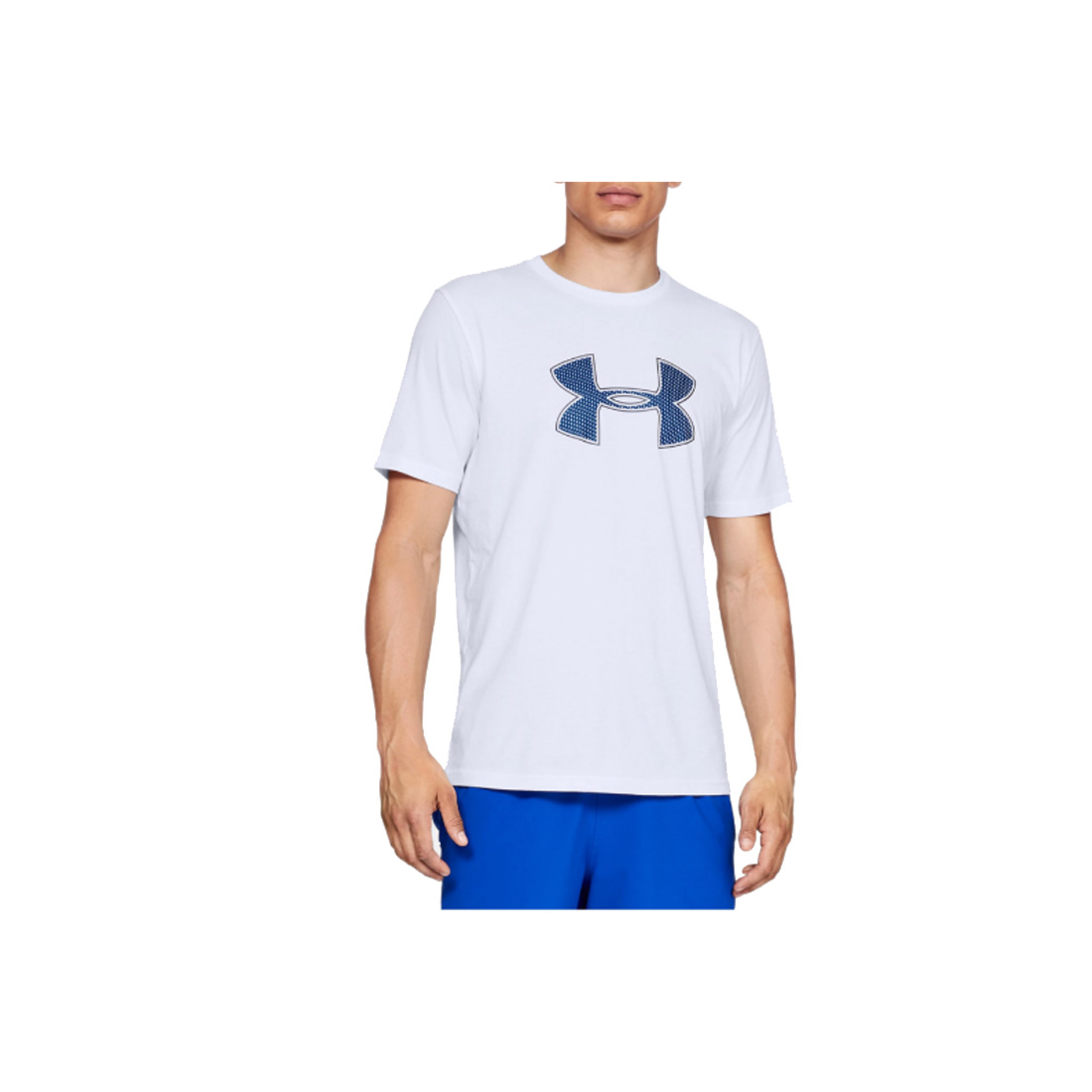 Under Armour Big Logo Ss Tee 1329583-100