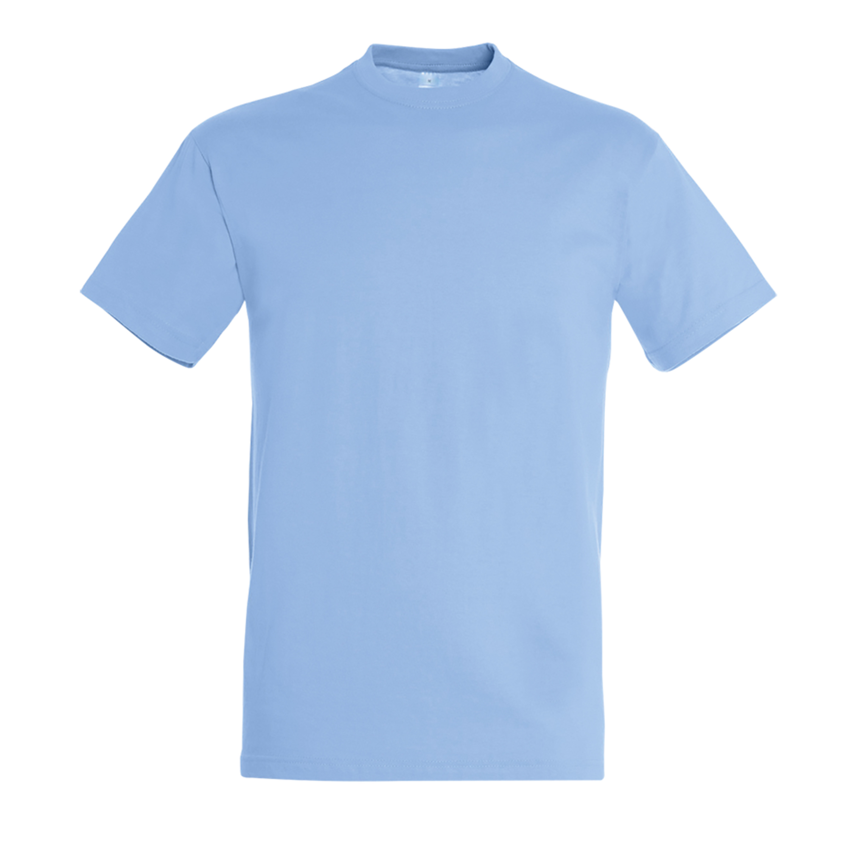 Pacote De 10 Camisetas / Camiseta Unisex Regent Crewneck