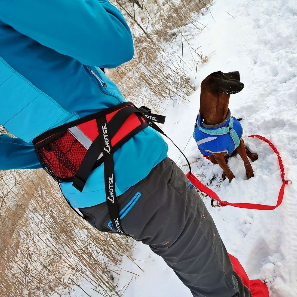 Cinturón Correr/caminar Con Perro Lhotse - Rojo/Negro - Arnés para correr con tu mascota.  MKP