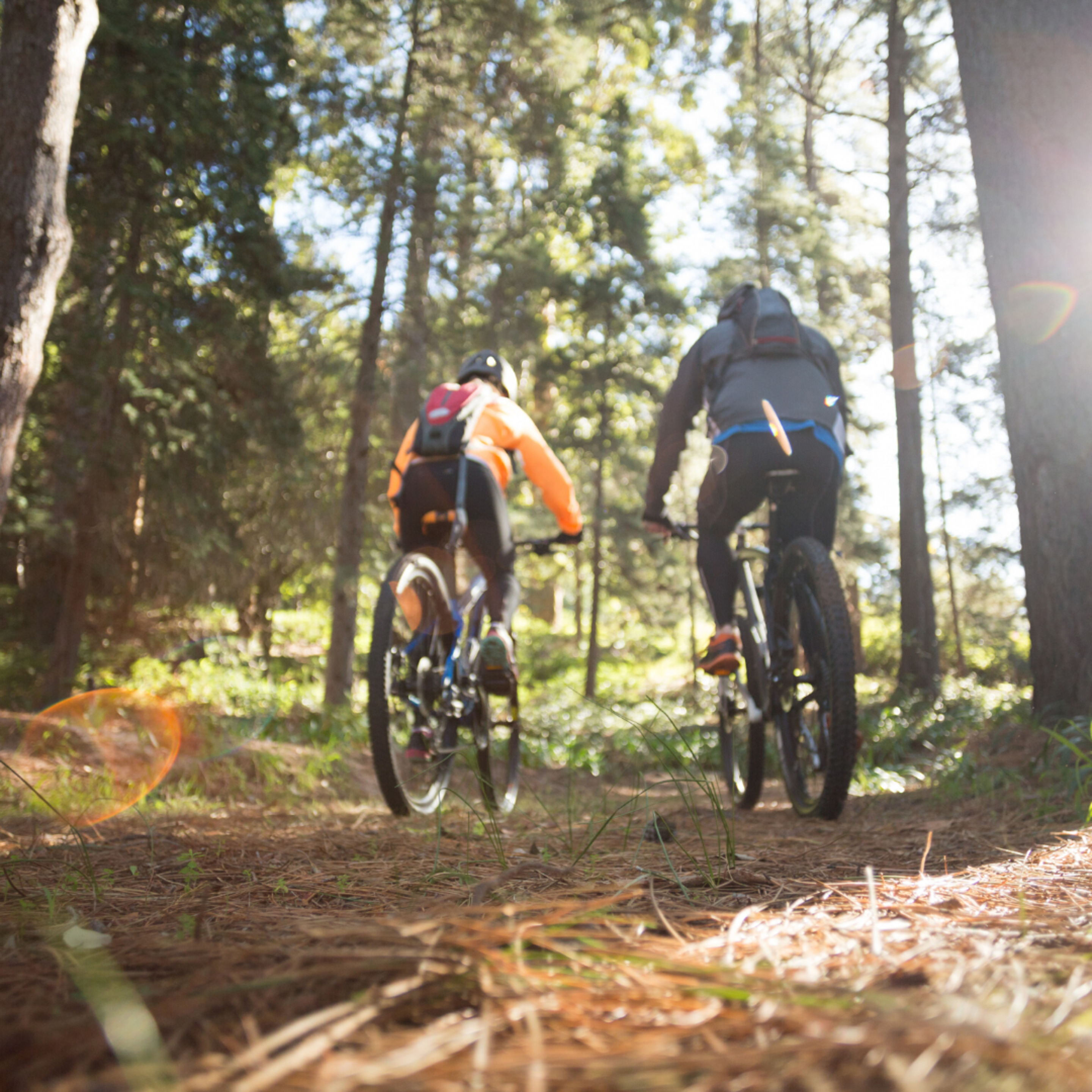 Ruta En Mountain Bike (Sierra Norte Madrid)