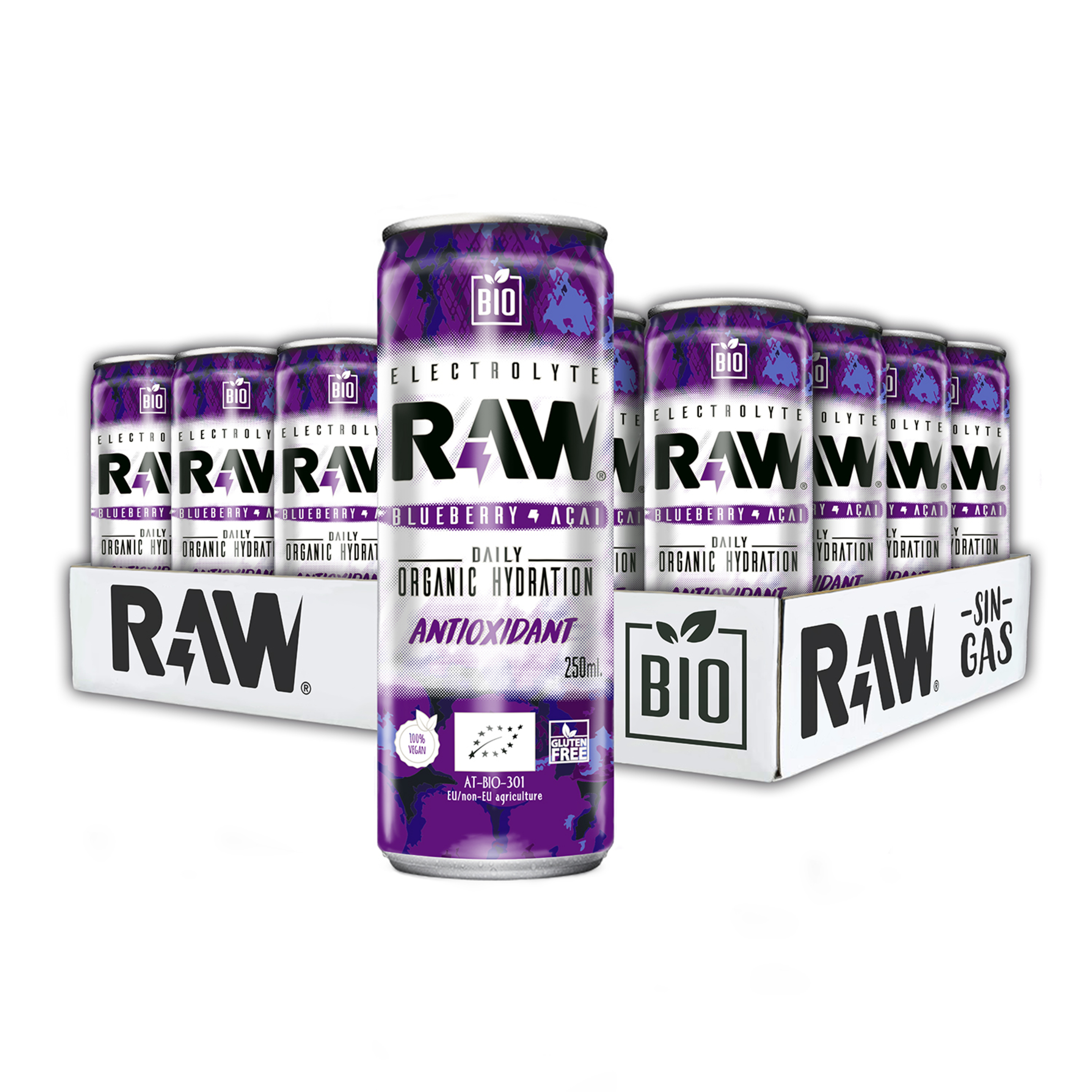 Raw Arándanos Y Açai Pack 24 Latas 250 Ml.