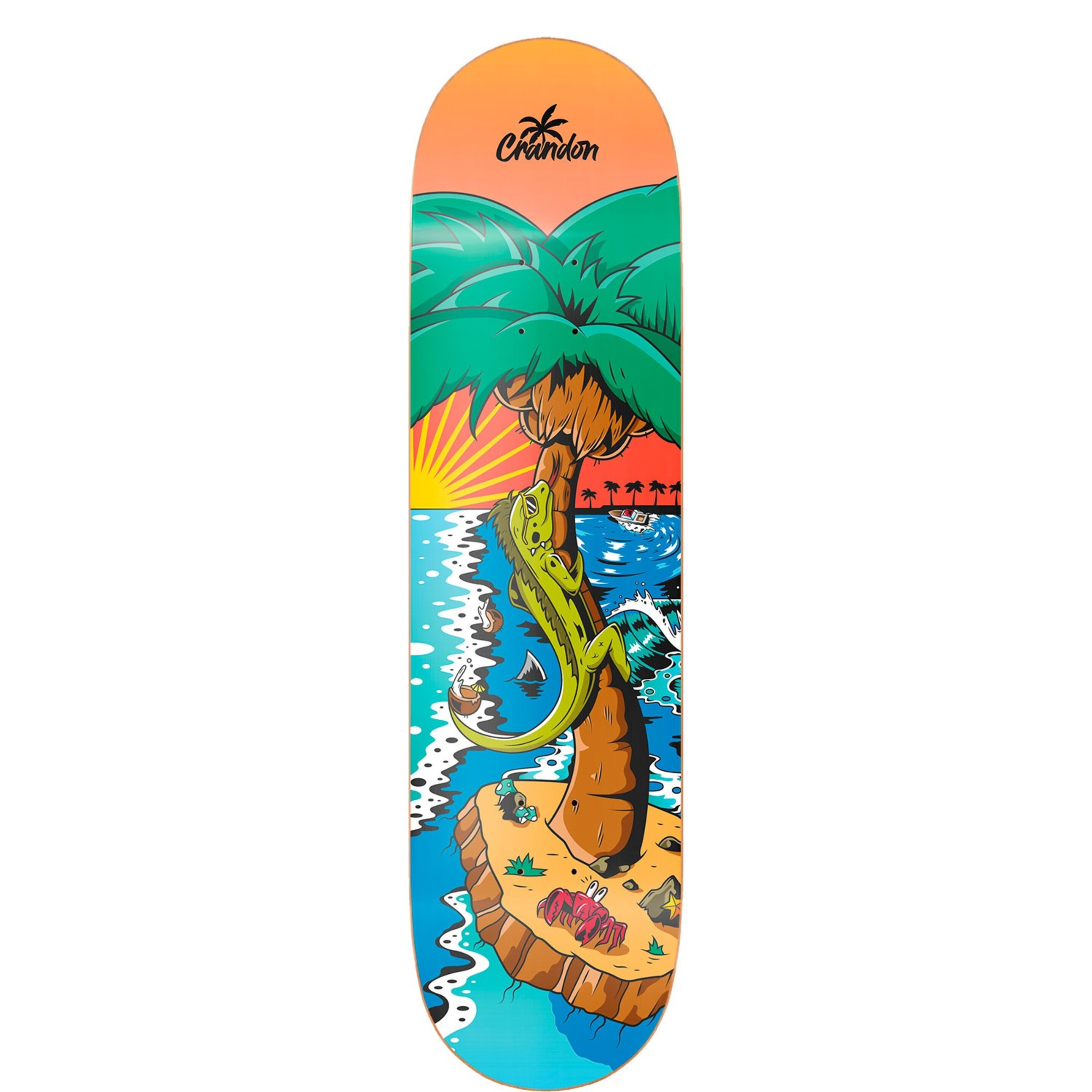 Tabla Skate Crandon Skc800palmdeck