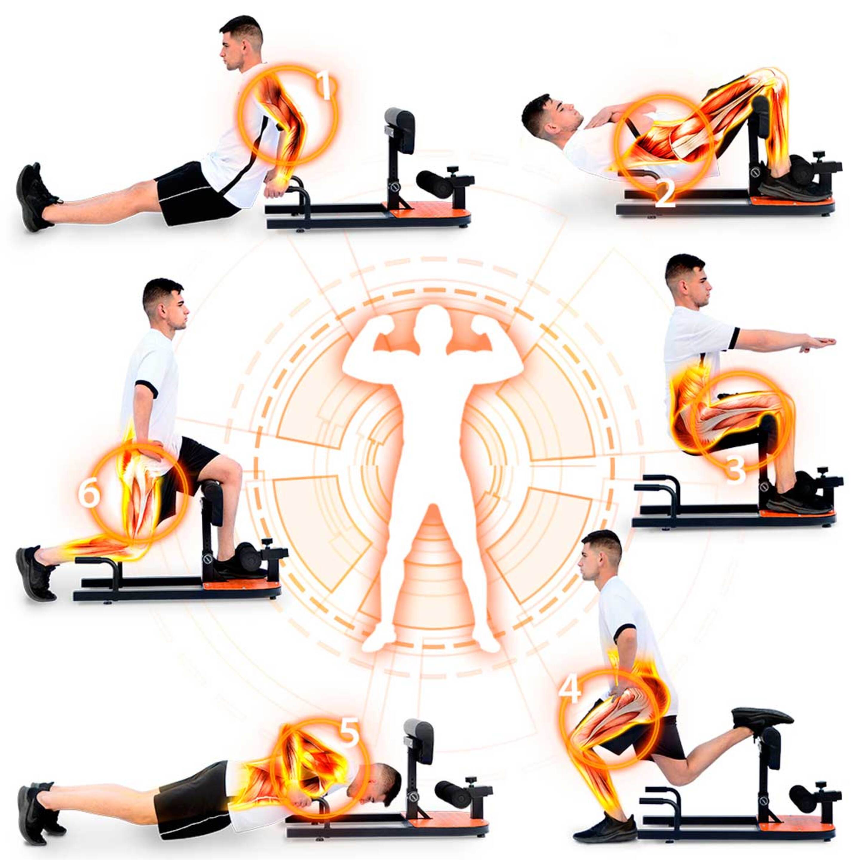Abdominal Squat Machine Gluteal Leg Workout Exercício. Gridinlux