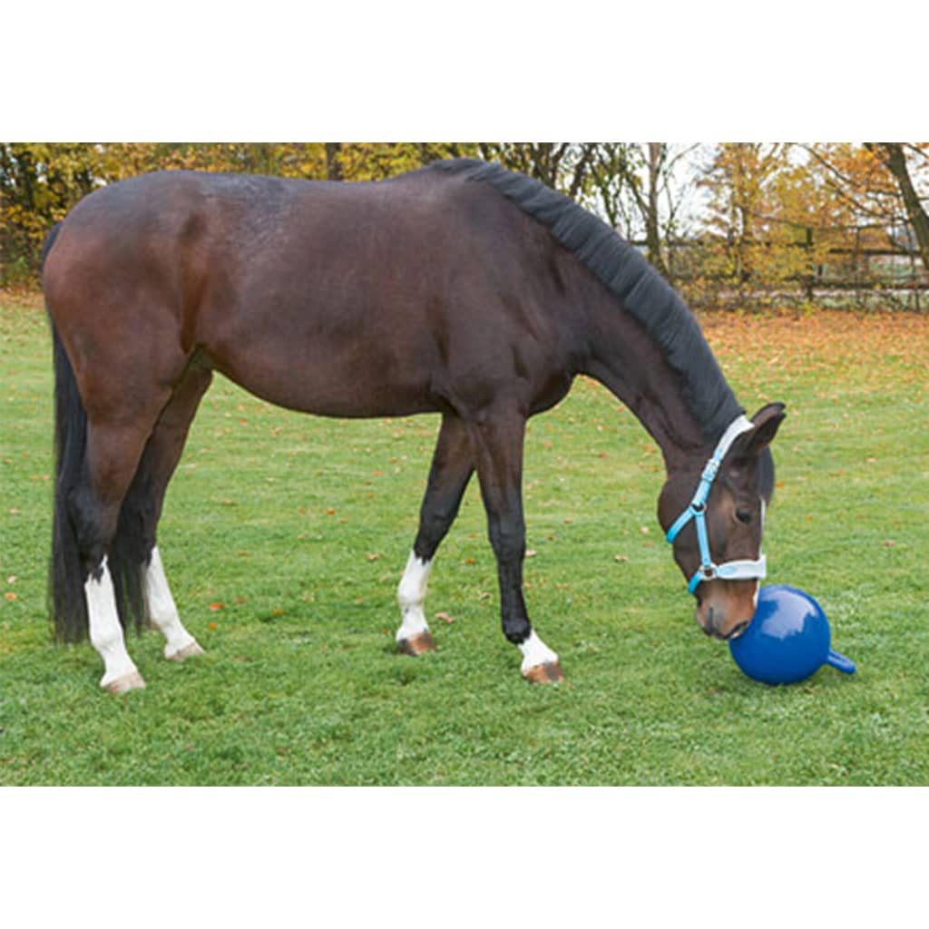 Pelota Kerbl Azul