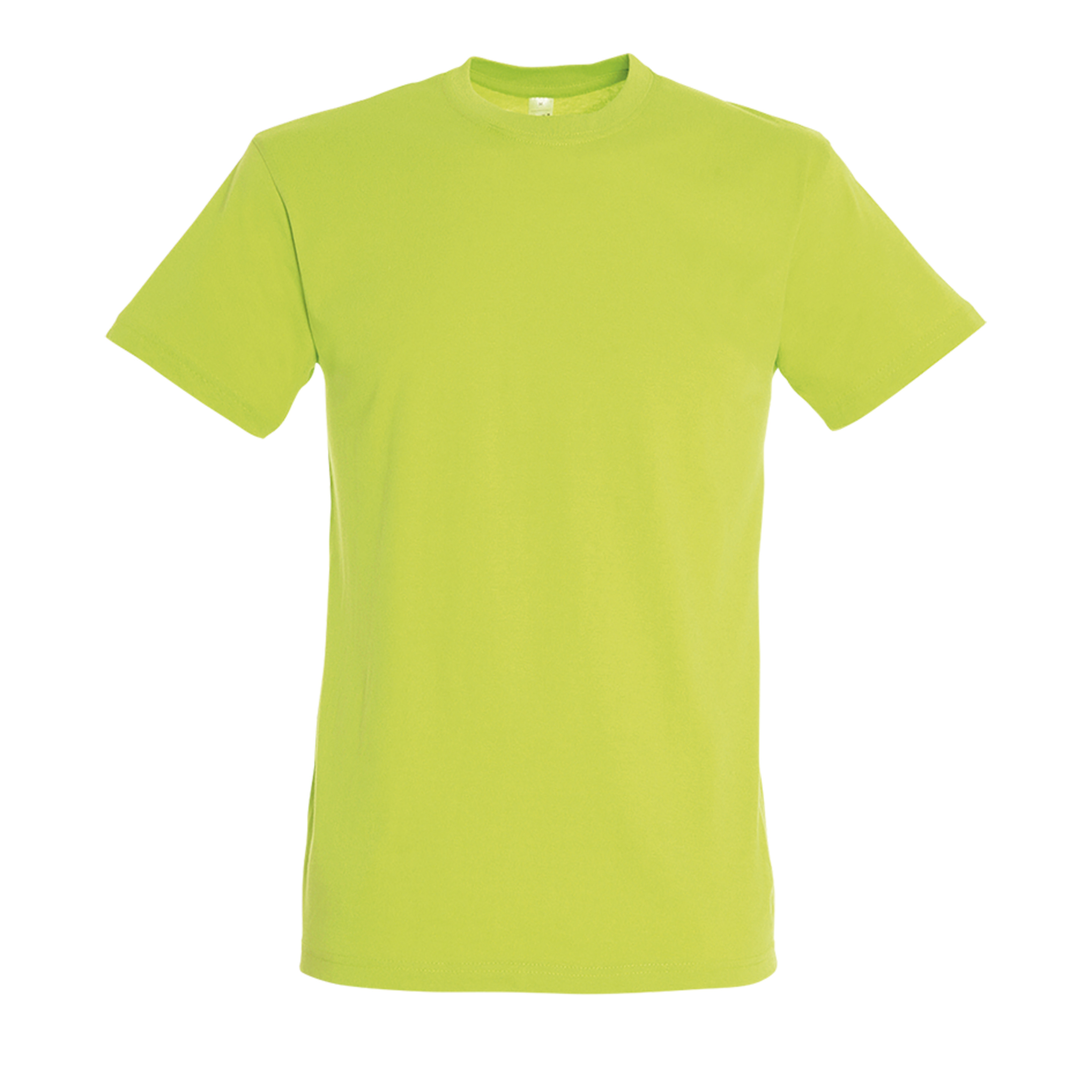Pacote De 10 Camisetas / Camiseta Unisex Regent Crewneck - verde-menta - 