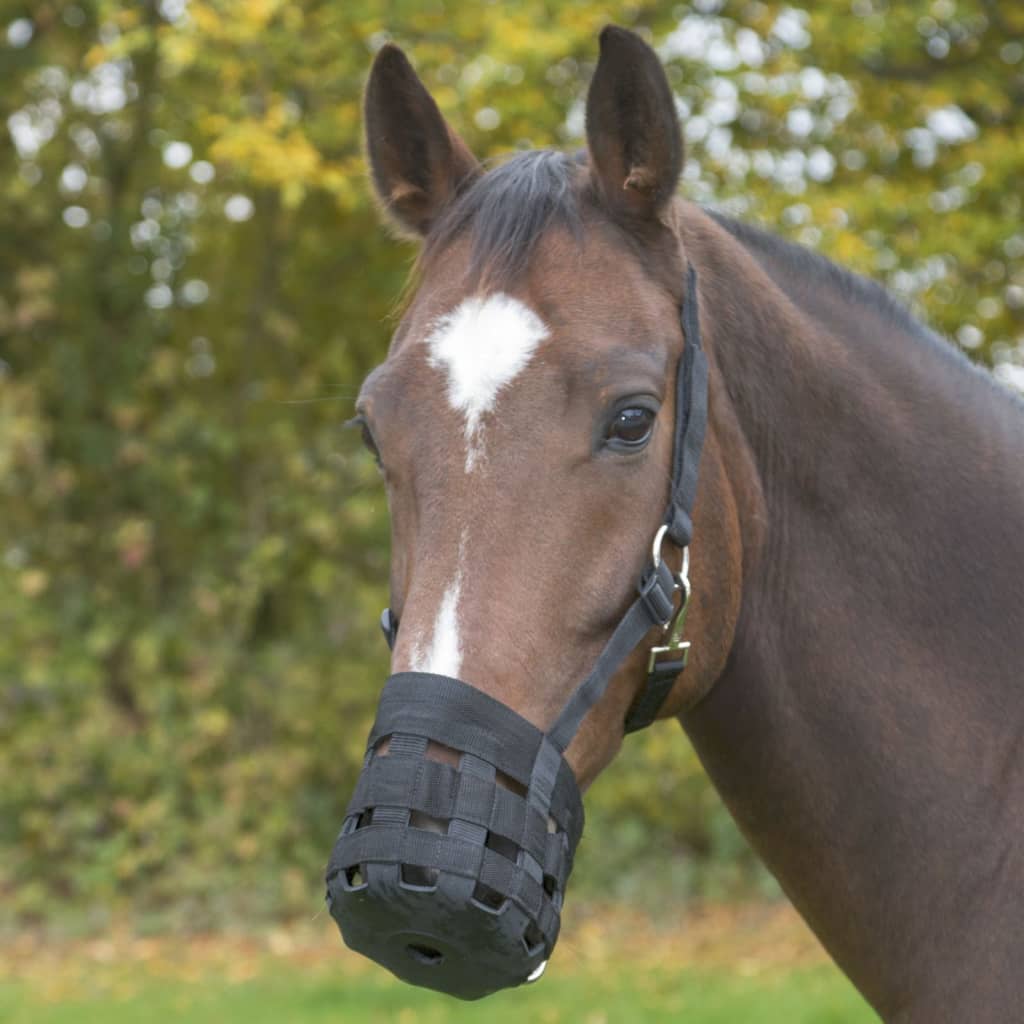 Bozal Para Caballos Covalliero Shetty