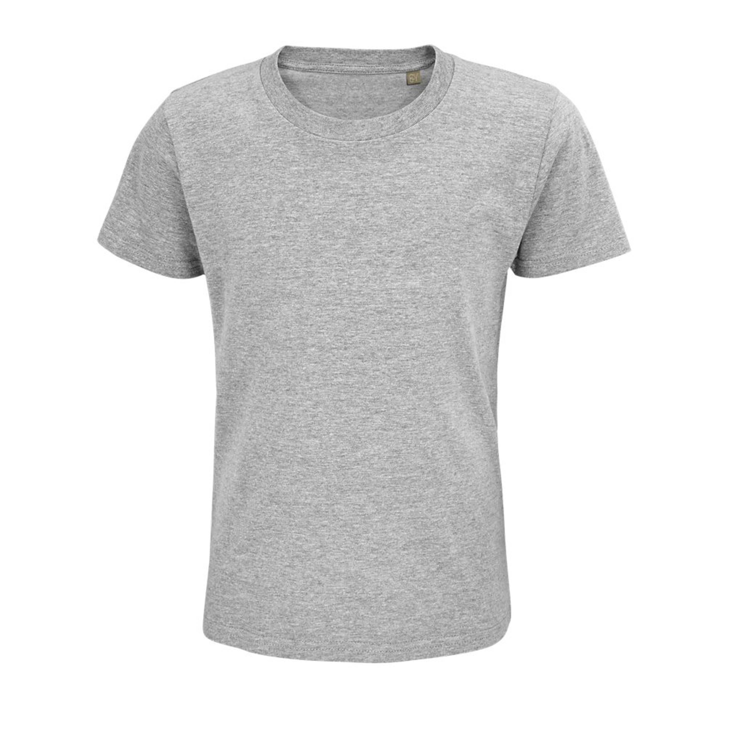 Camiseta Marnaula Pionner - gris - 