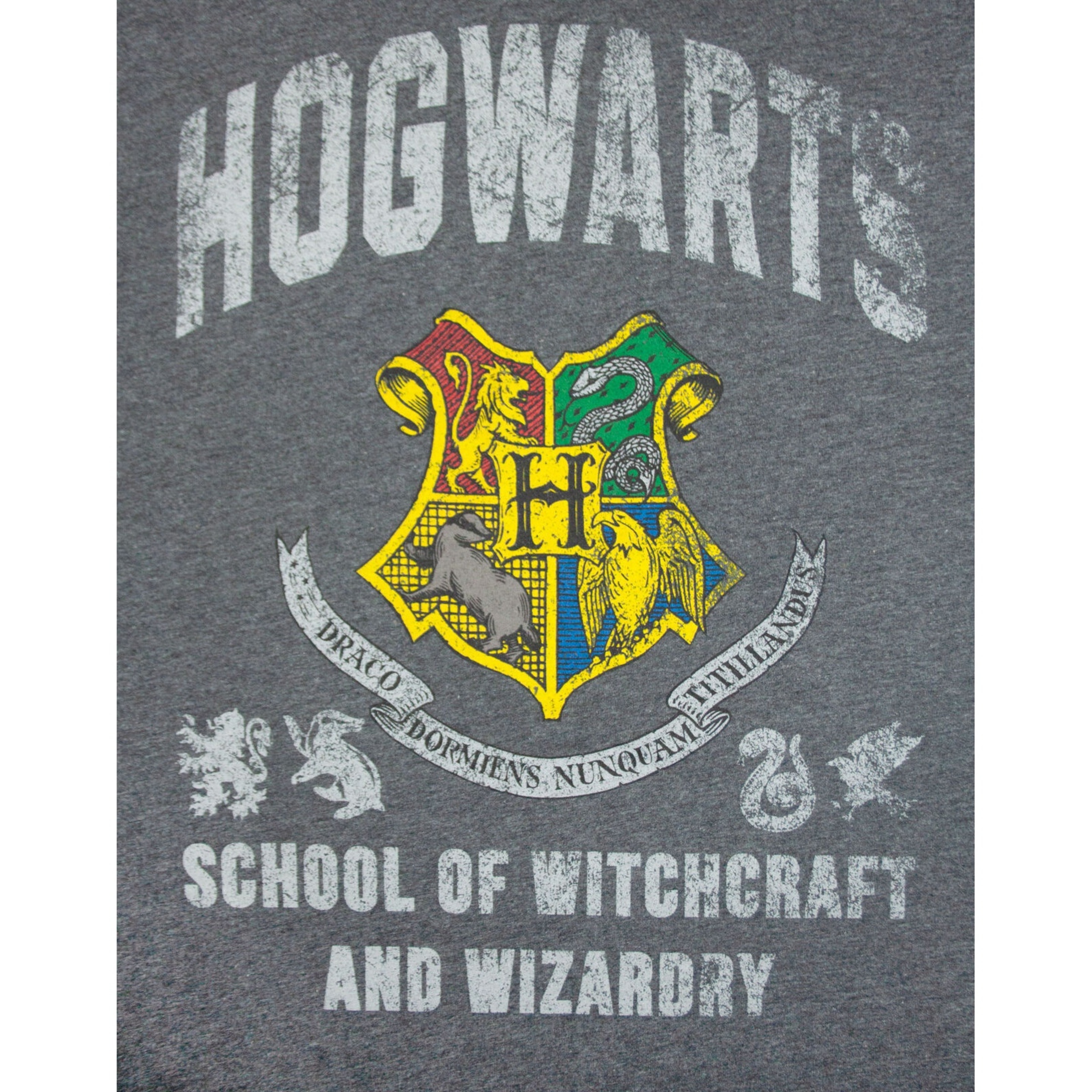 Camiseta Hogwarts Hombres Harry Potter