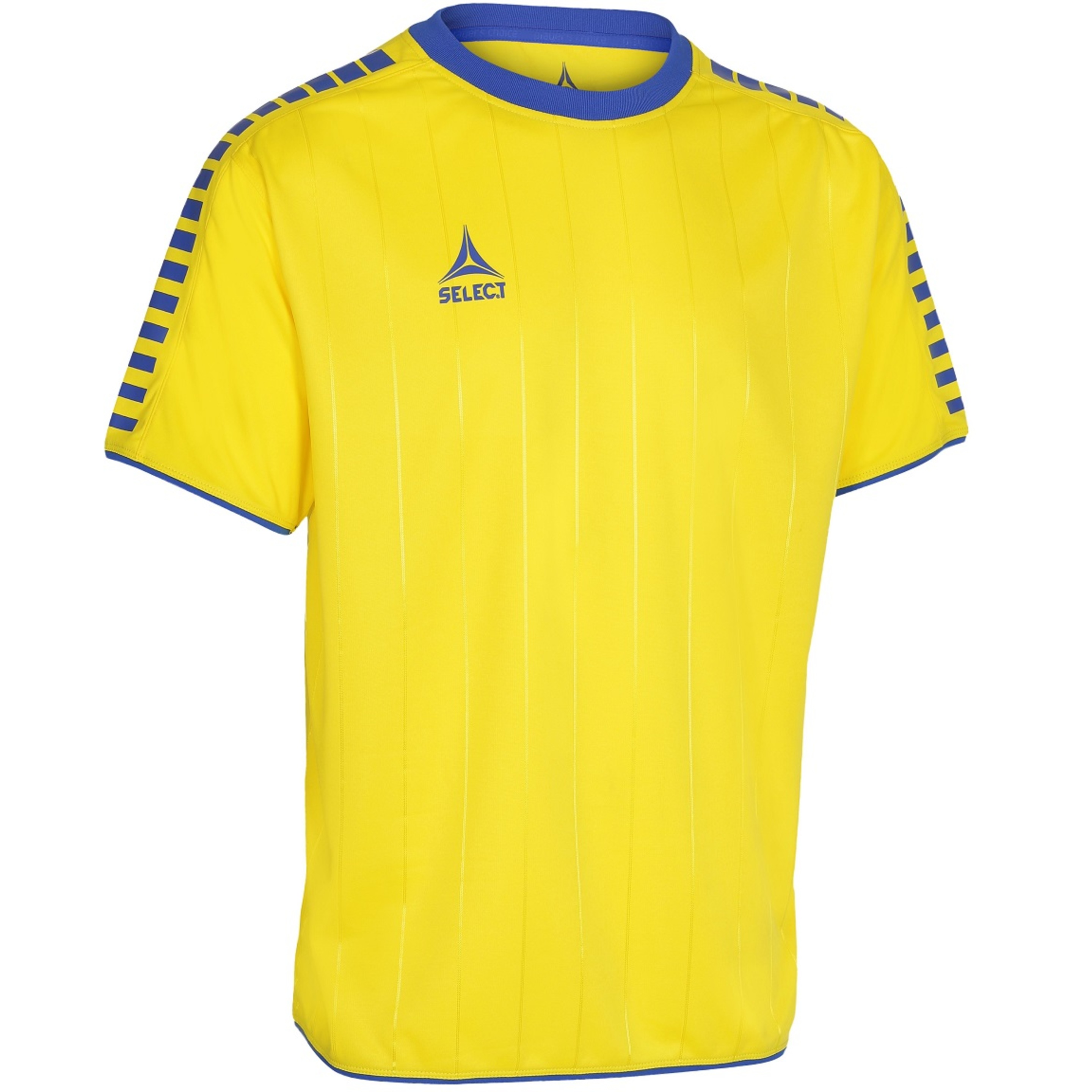 Camiseta Select Argentina