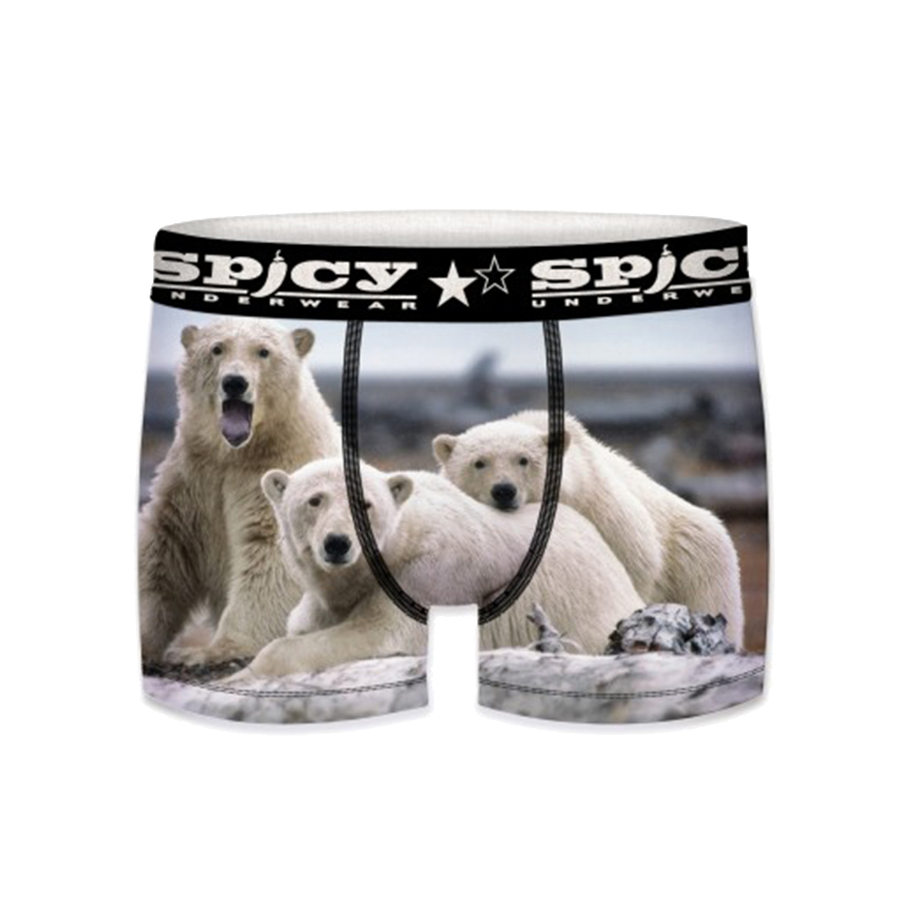 Cuecas Spicy Urso Polar - blanco - 