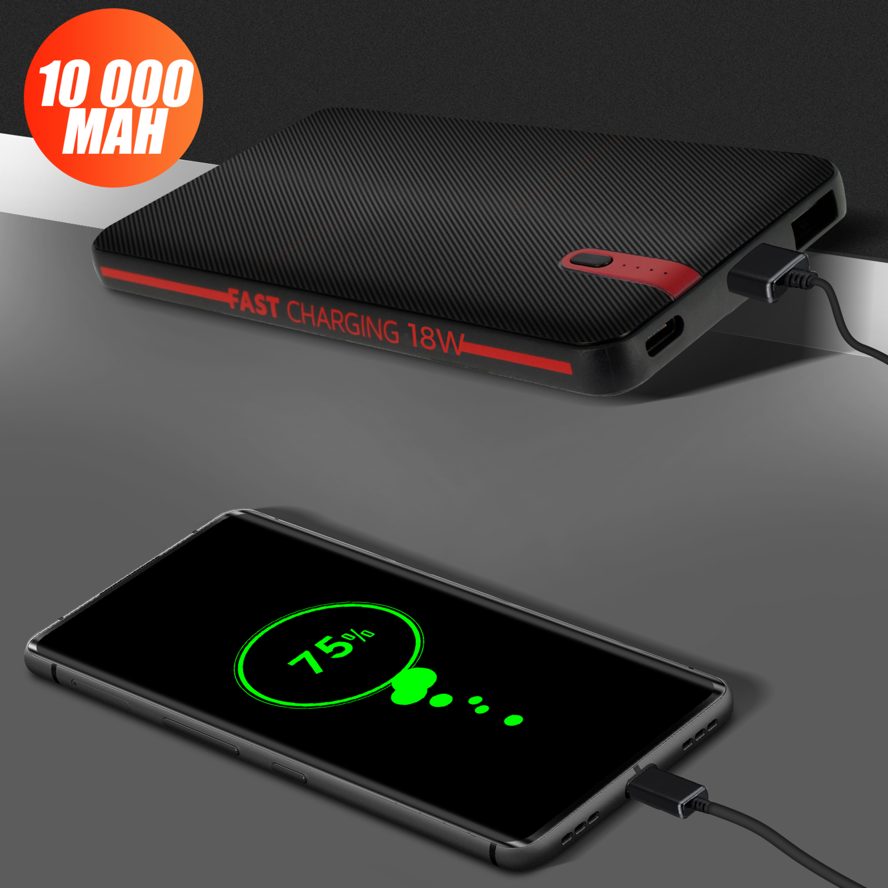 Batería Externa 10000 Mah 1xusb