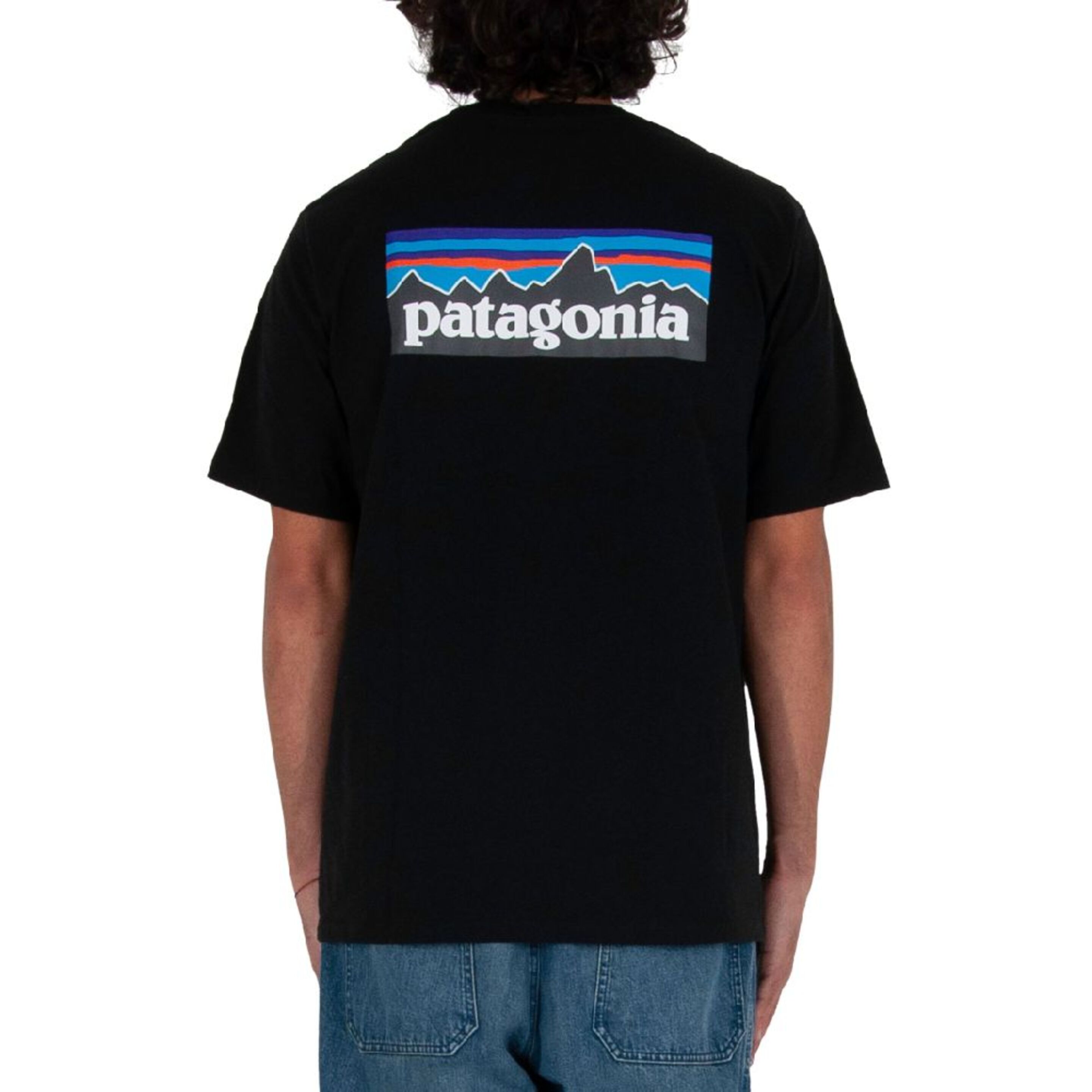 Camiseta Patagonia 38504blk