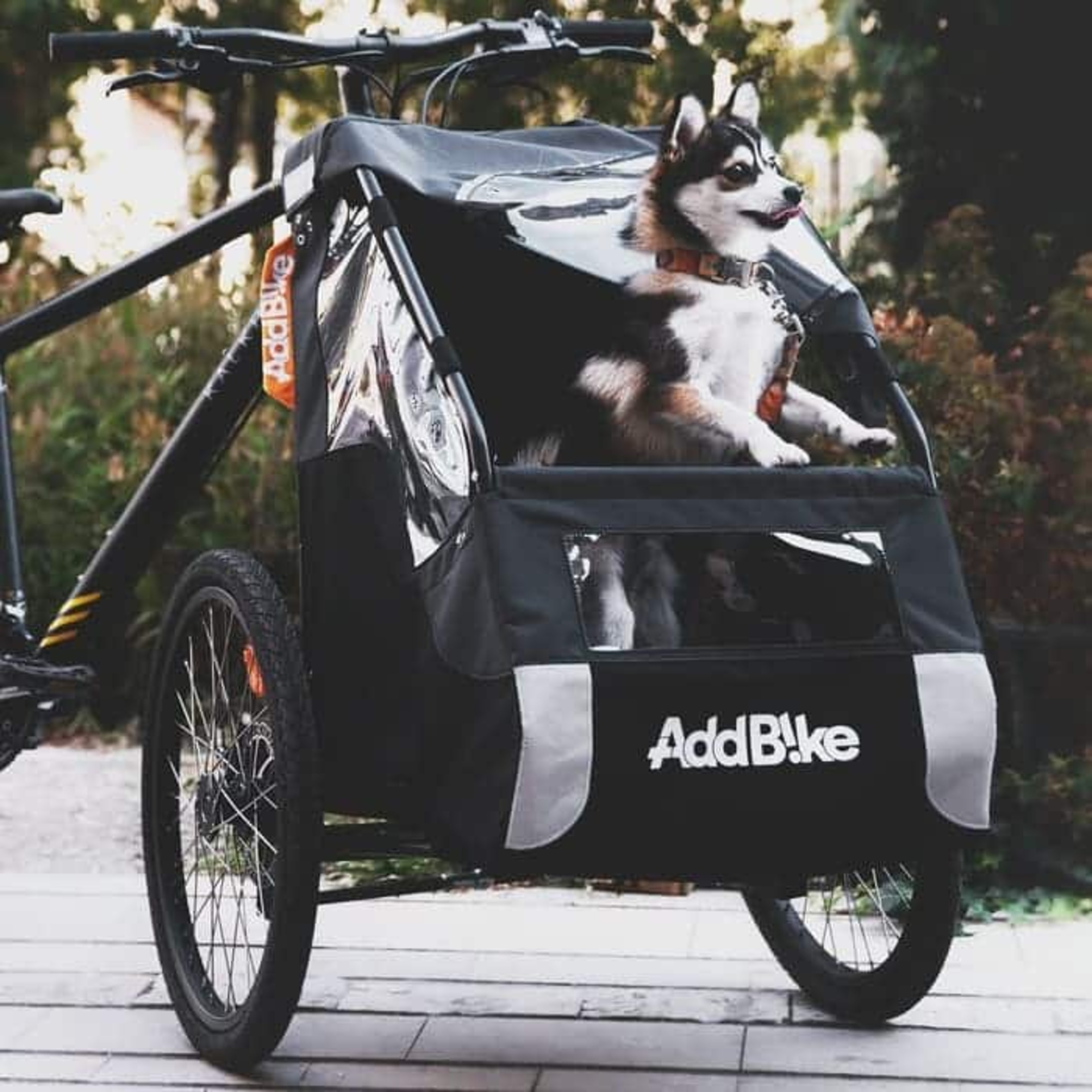 Kit Delantero Addbike Transporte Perro