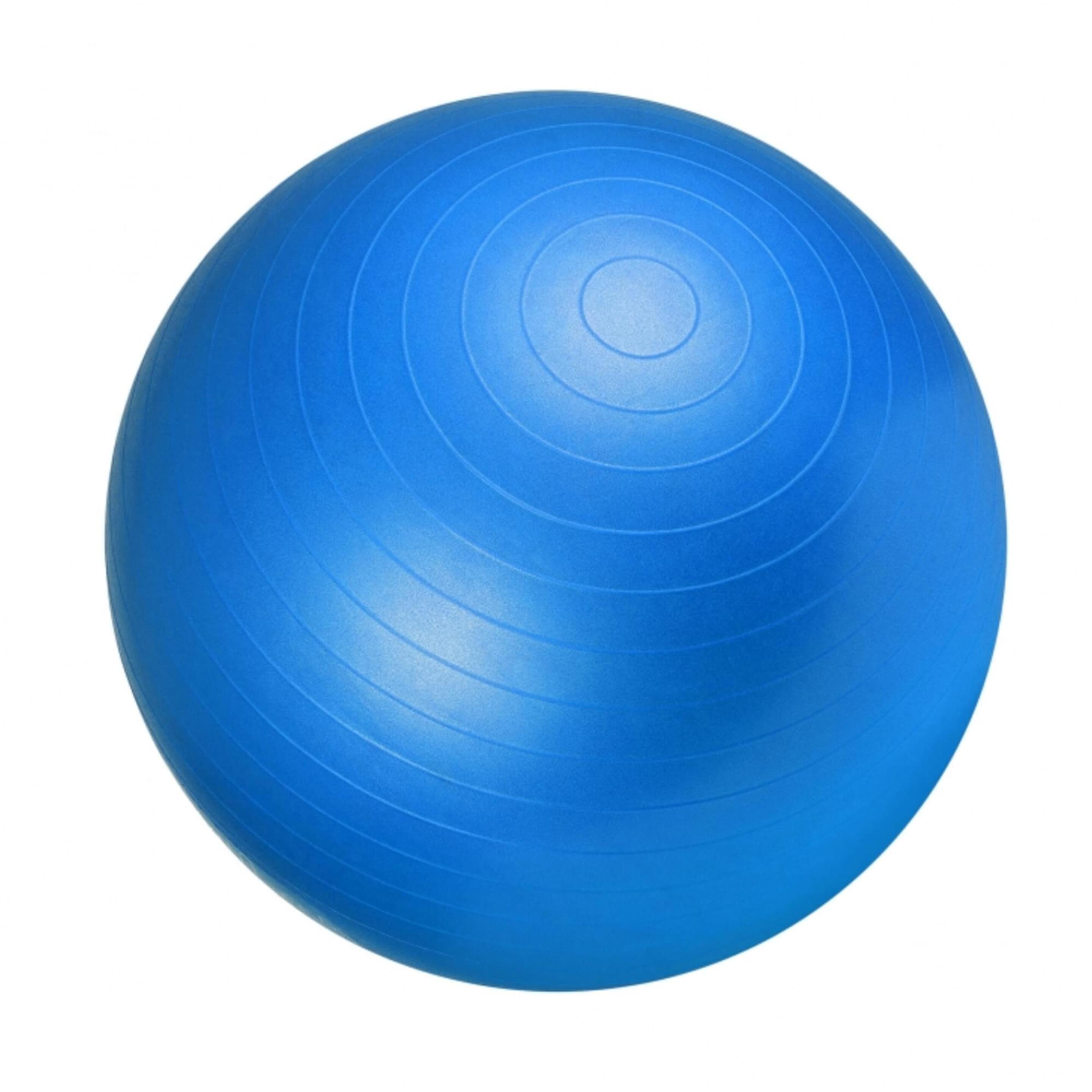 Balón Fitness 55 Cm Gorilla Sports - azul - 
