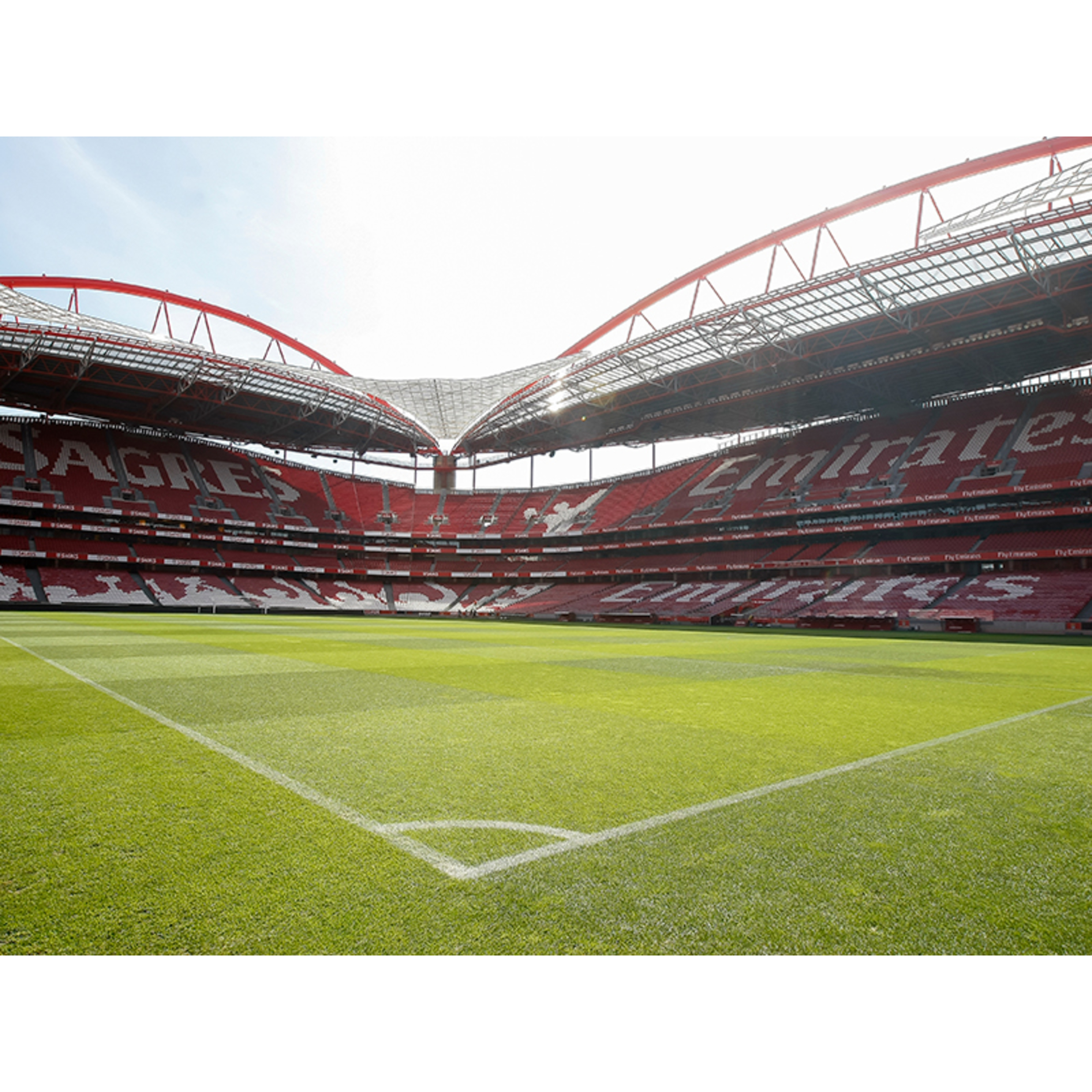 Pack Presente - Sport Lisboa E Benfica | Estádio E Museu + Cachecóis + Cheque Gourmet