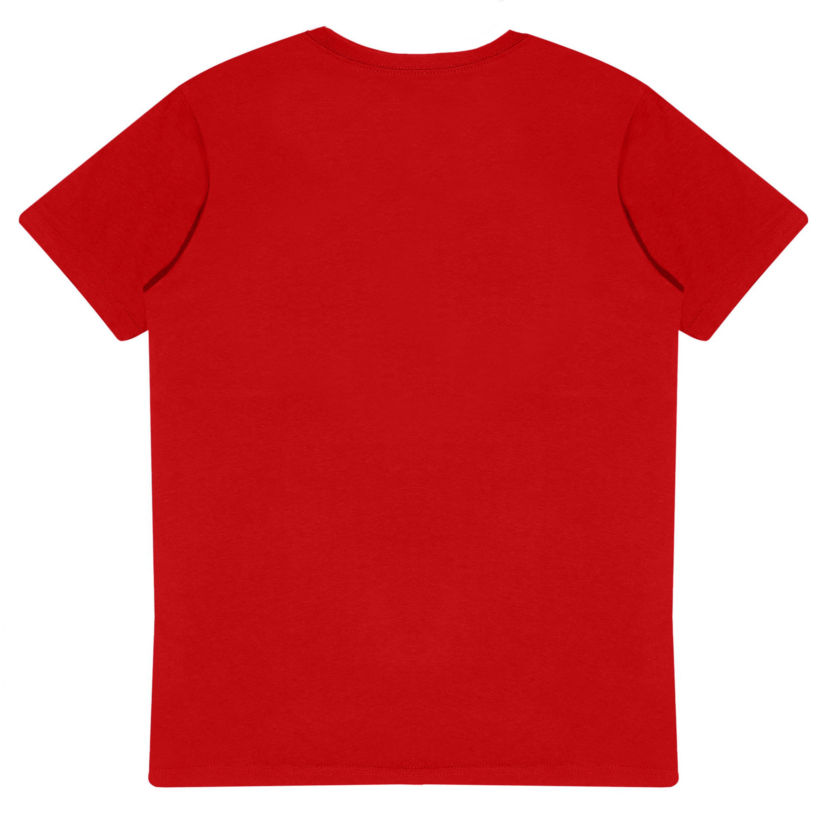 Camiseta Com Logotipo De Mulher/ladies Distressed Fitted Tshirt The Flash